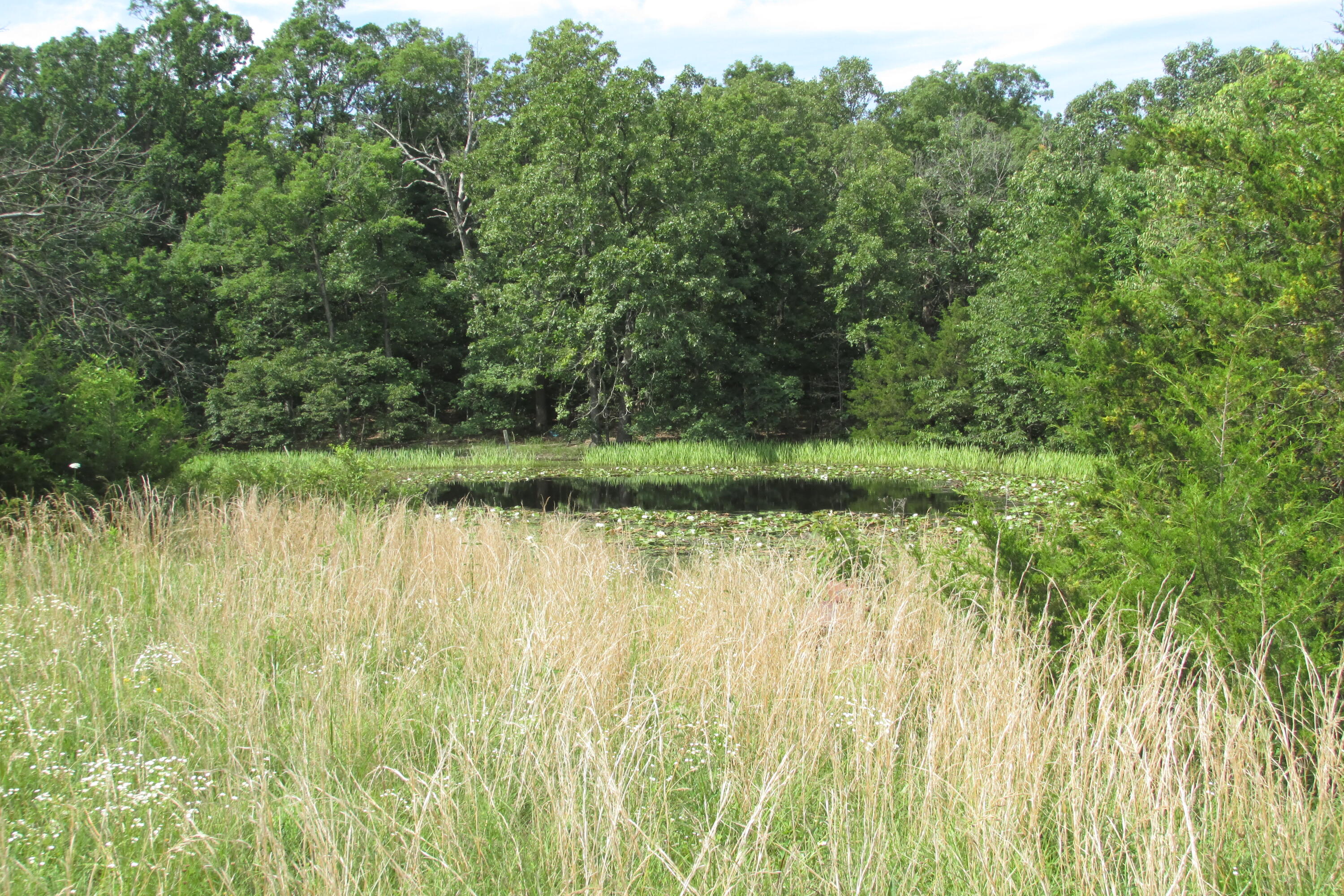 1 Owl Trail Property Photo 1