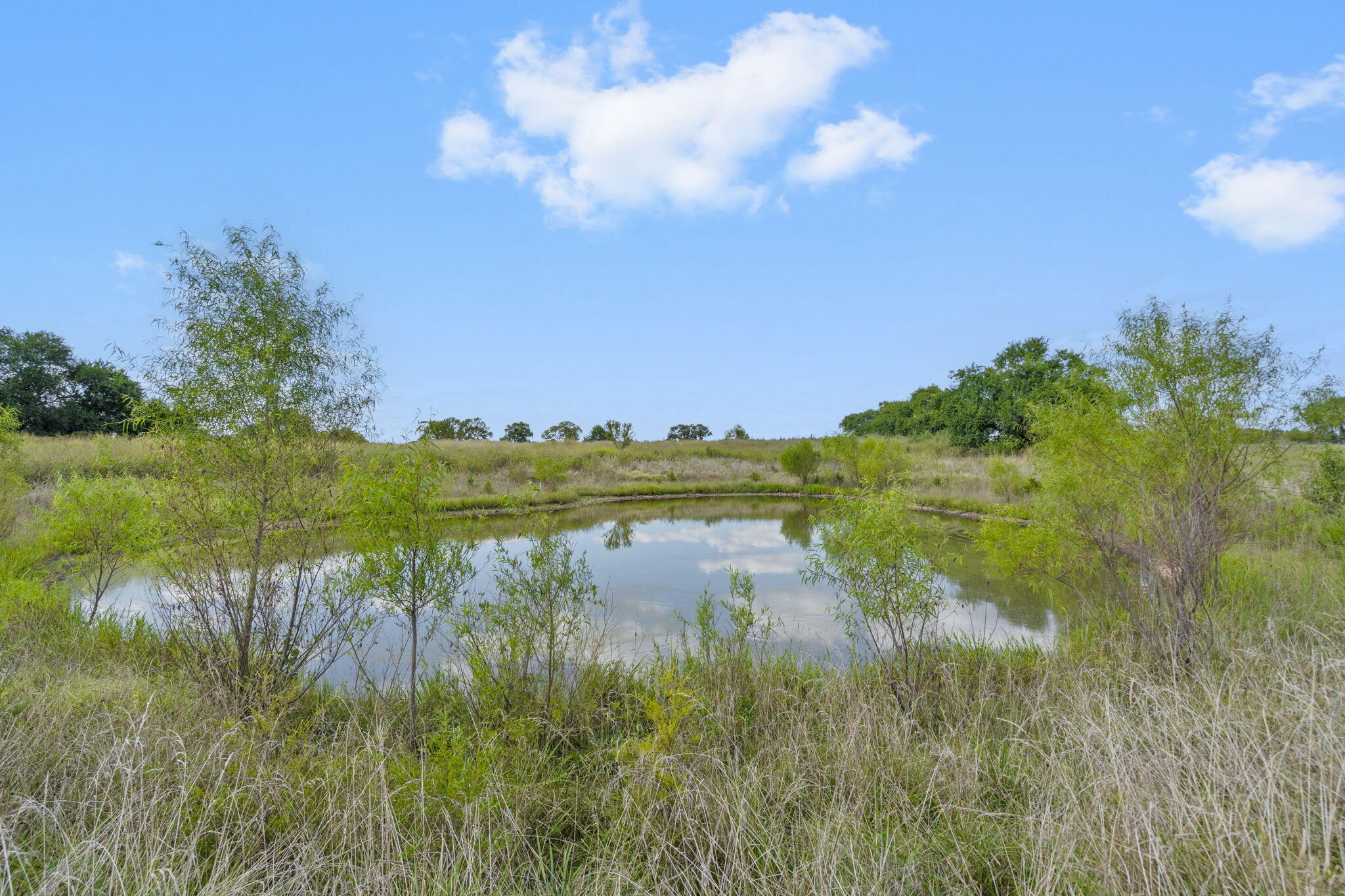5295 East Farm Road 138 Property Photo 60