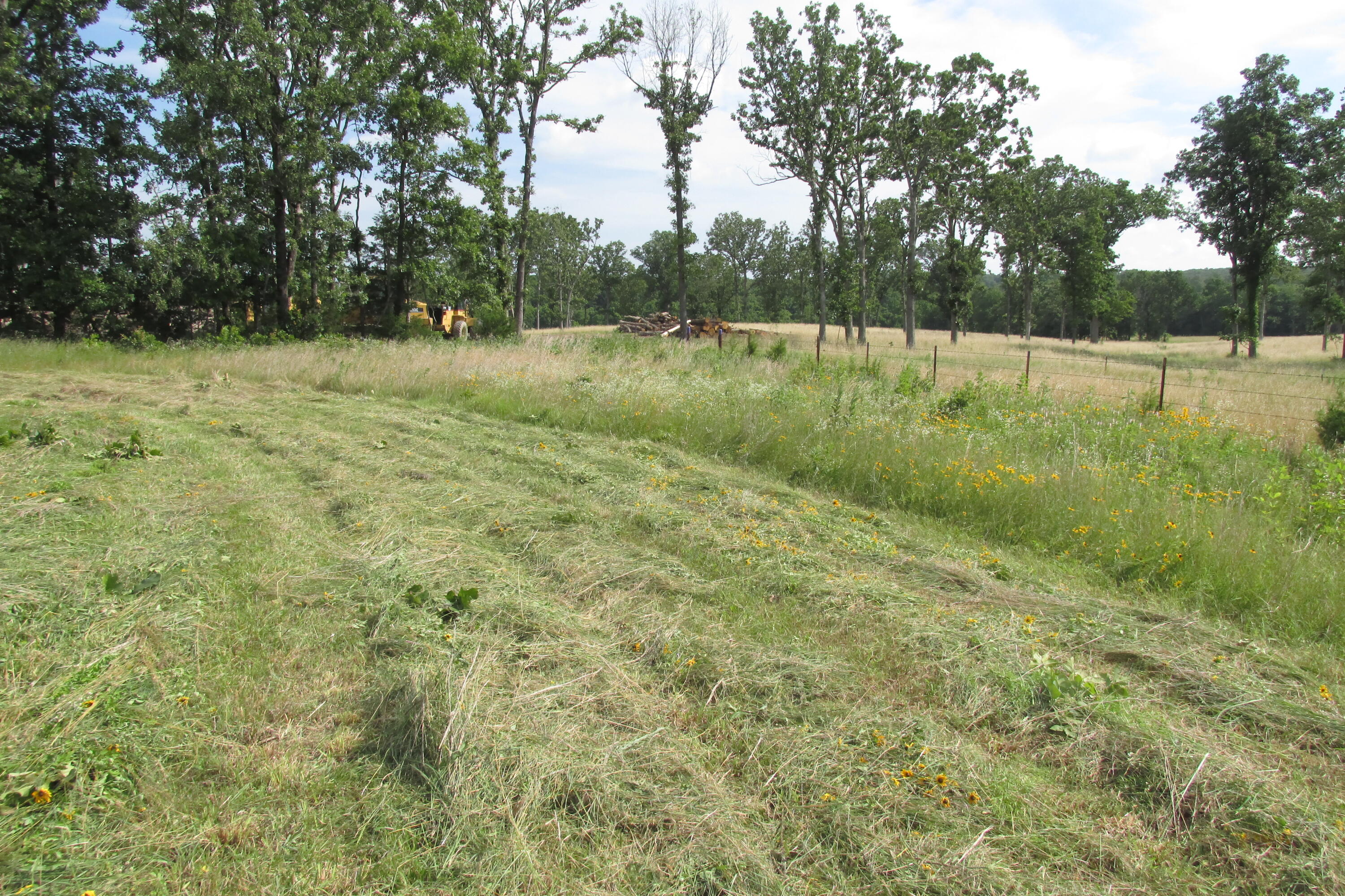 2 Owl Trail Property Photo 1