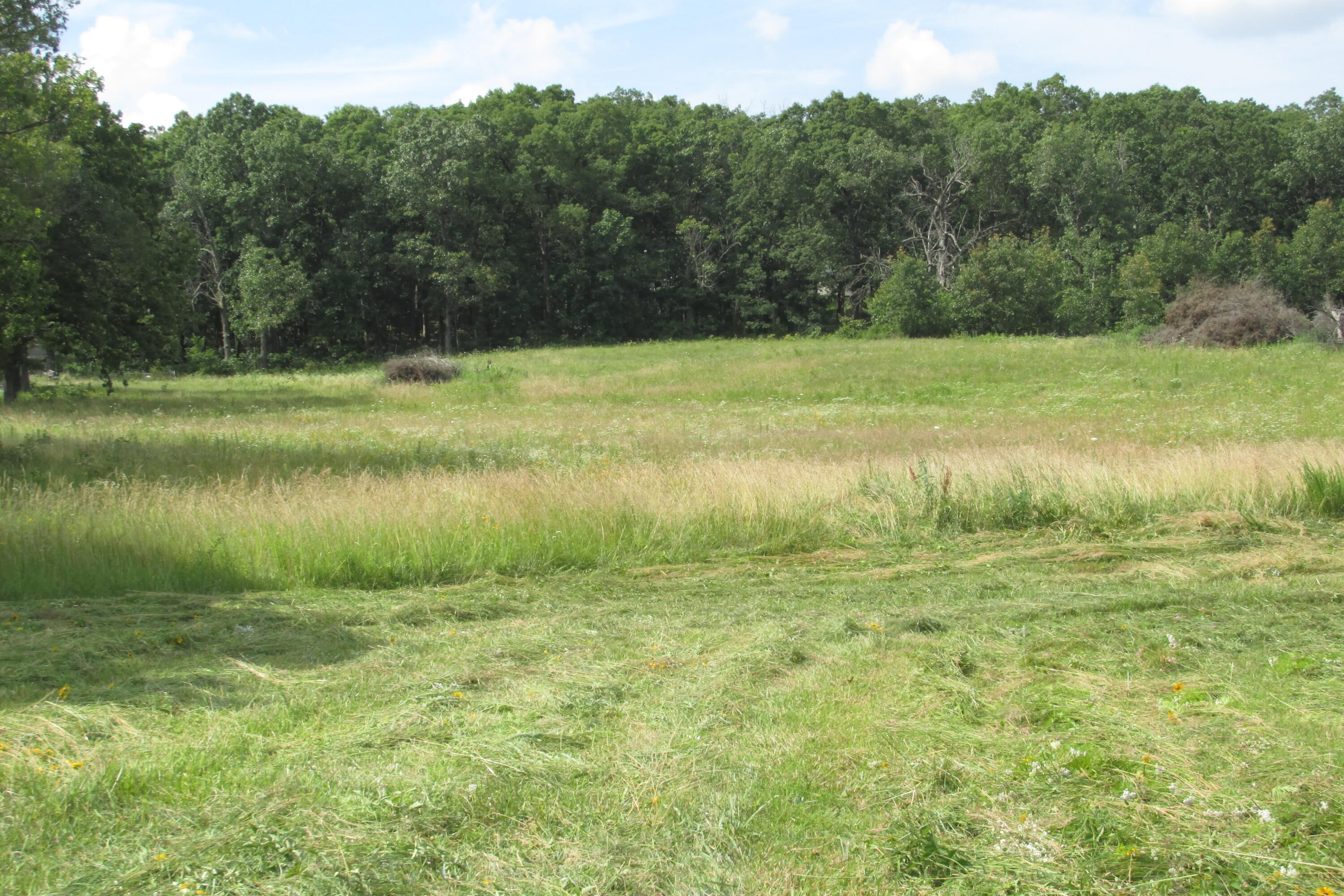 3 Owl Trail Property Photo 1