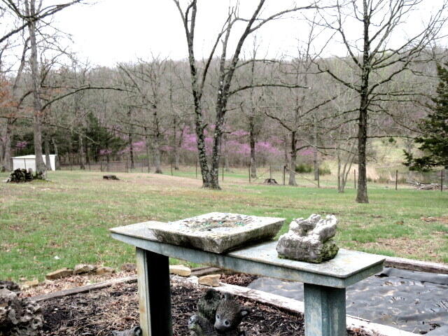 257 Firefly Lane Property Photo 37