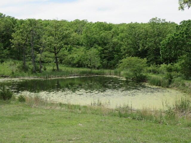 257 Firefly Lane Property Photo 39
