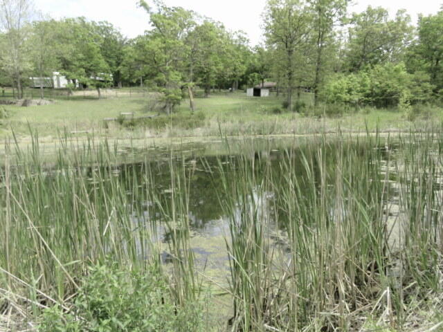 257 Firefly Lane Property Photo 40