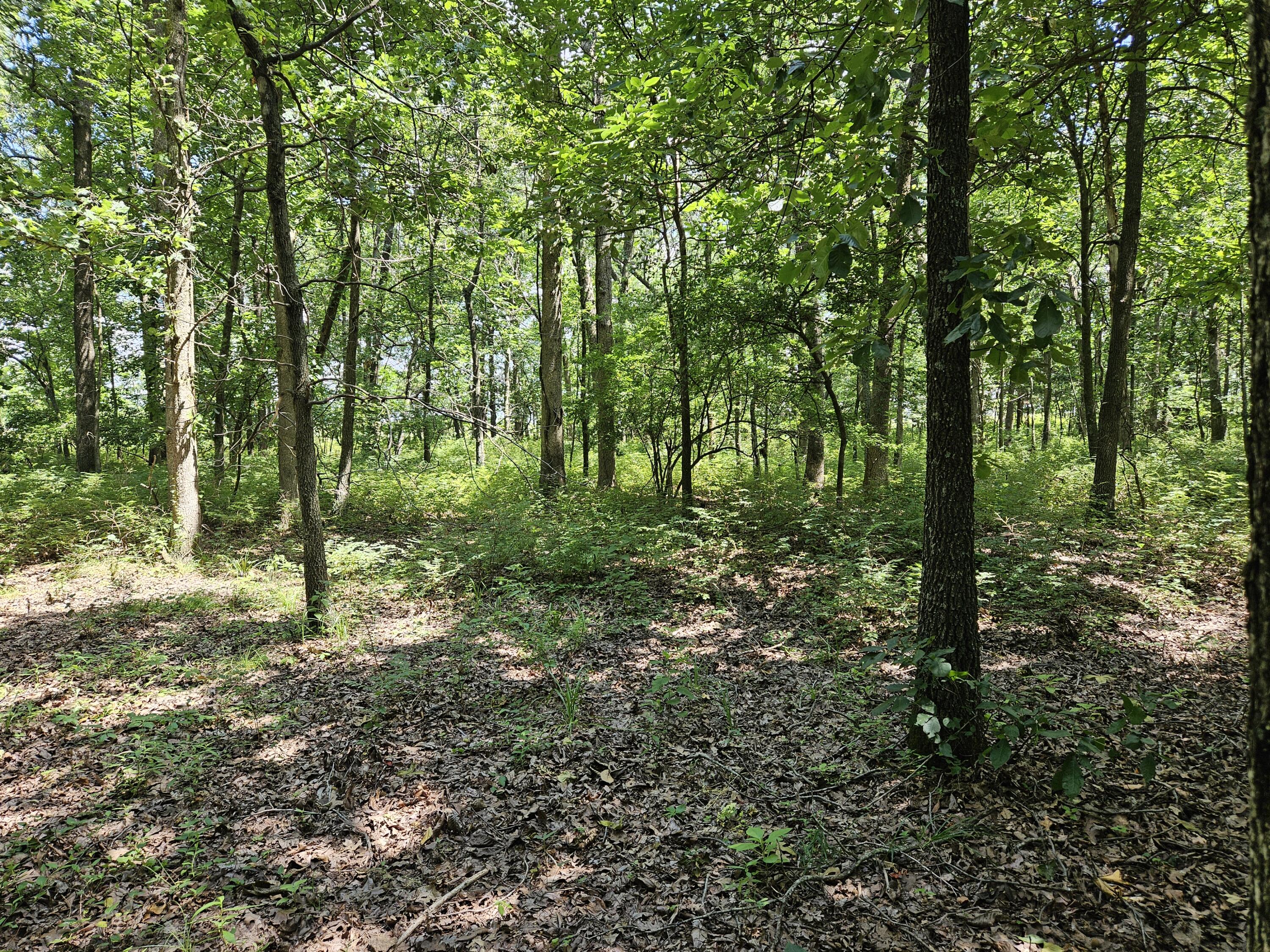 8696 Lawrence 2226 Property Photo 53