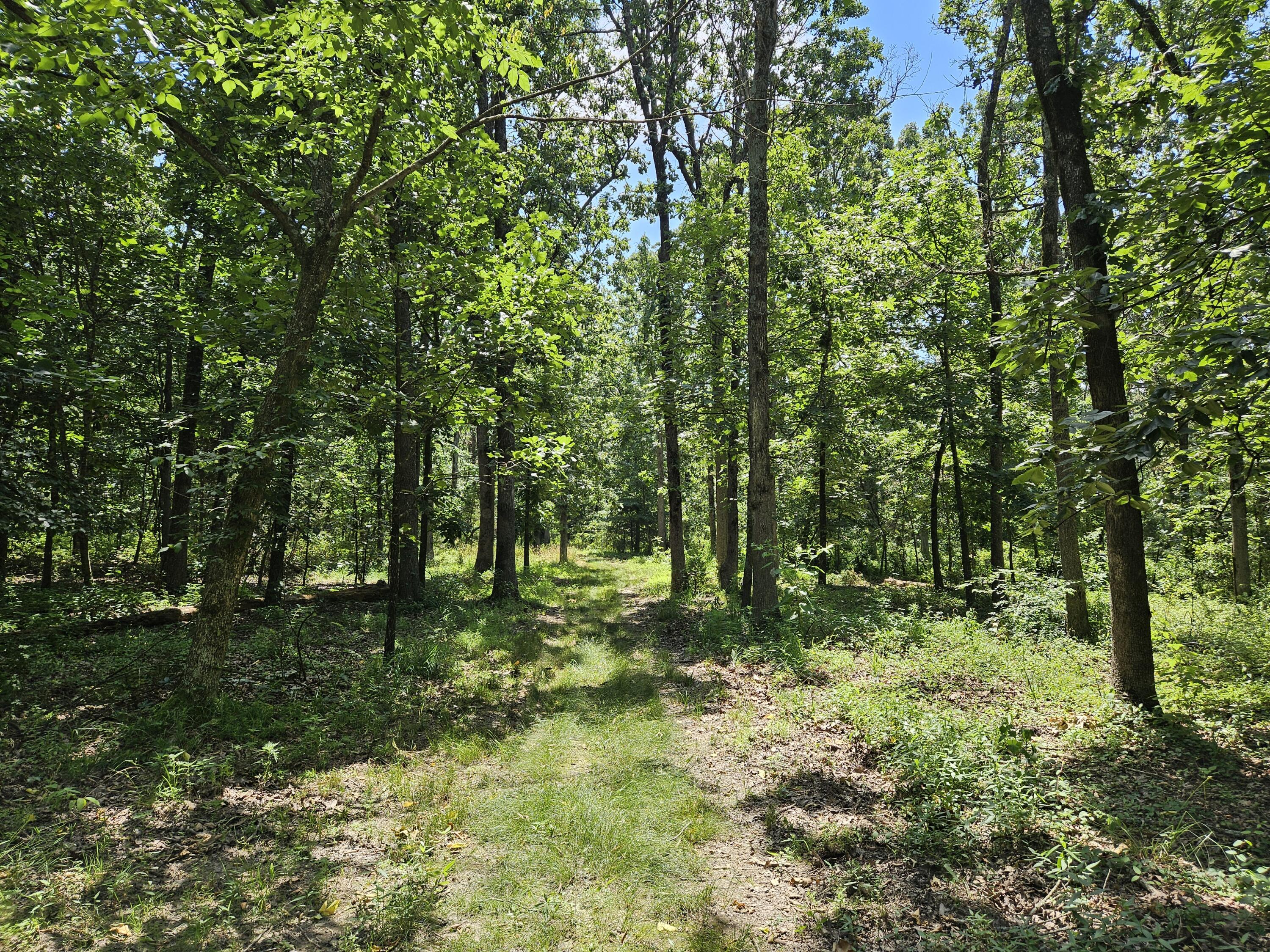 8696 Lawrence 2226 Property Photo 54