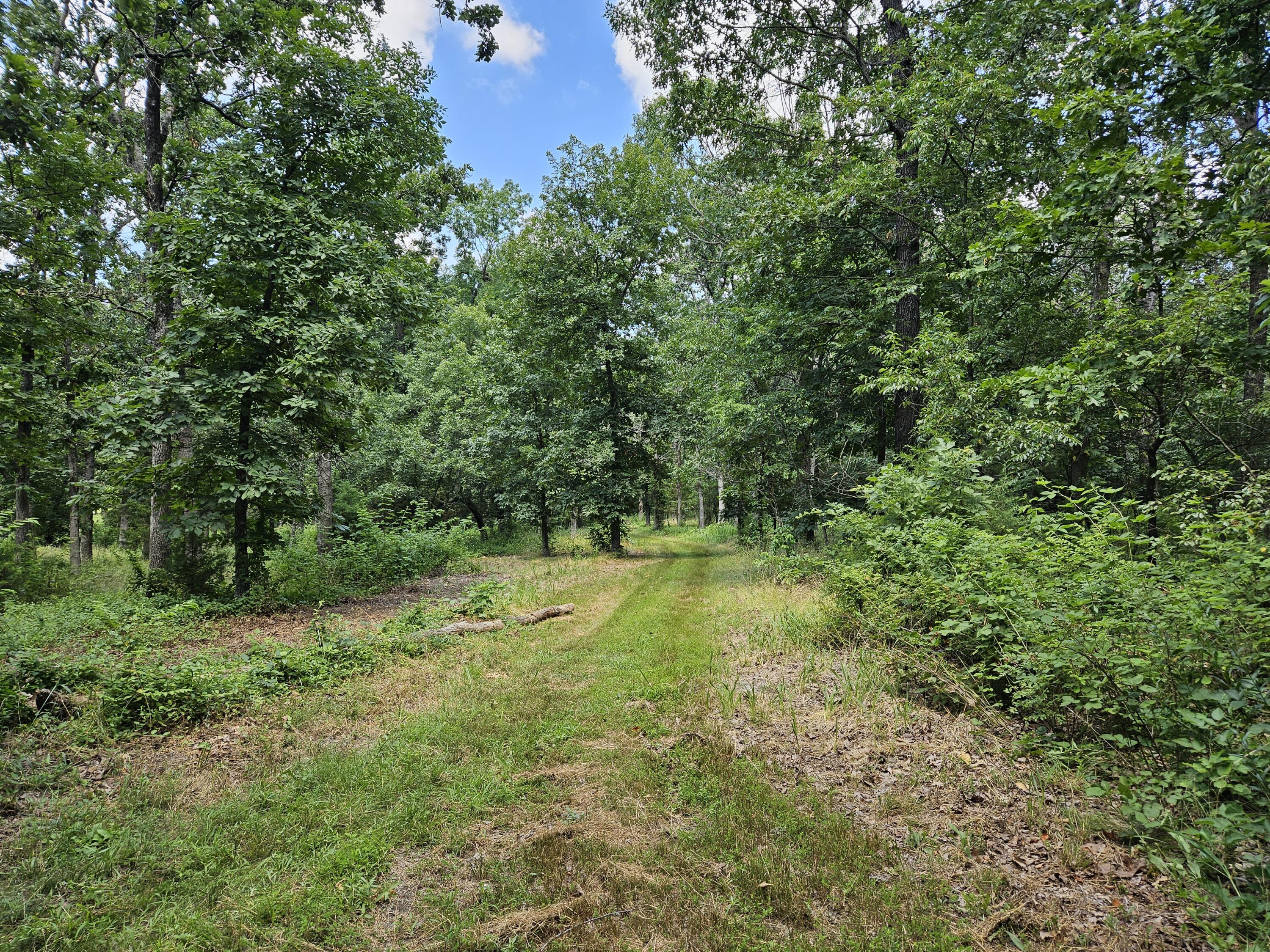 8696 Lawrence 2226 Property Photo 59
