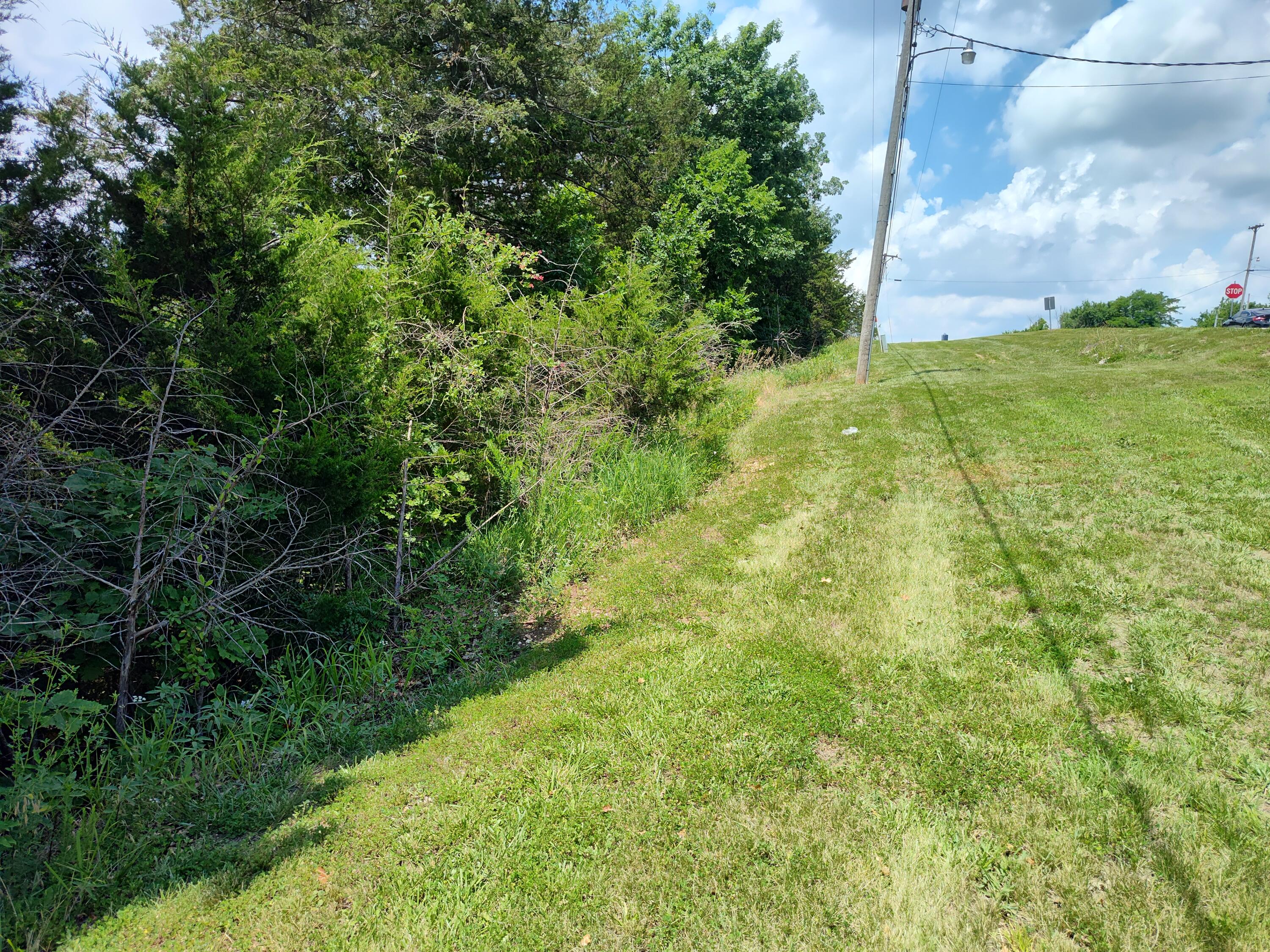 Tbd West Dallas Street Property Photo 1