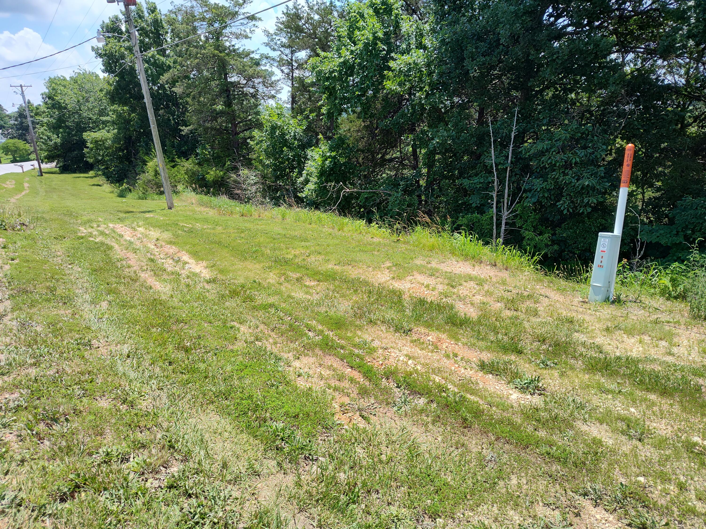 Tbd West Dallas Street Property Photo 2