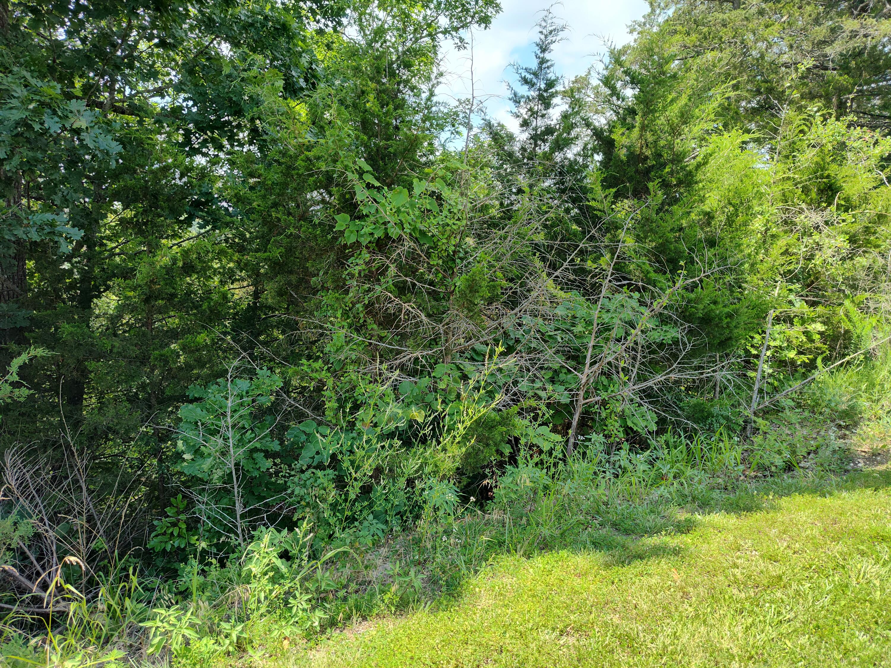 Tbd West Dallas Street Property Photo 3