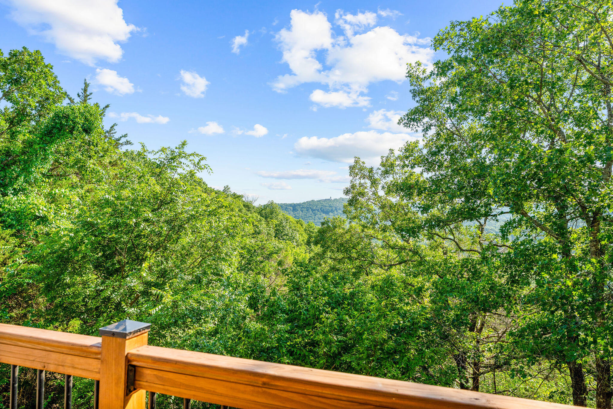 2505 Talking Rocks Road Property Photo 42