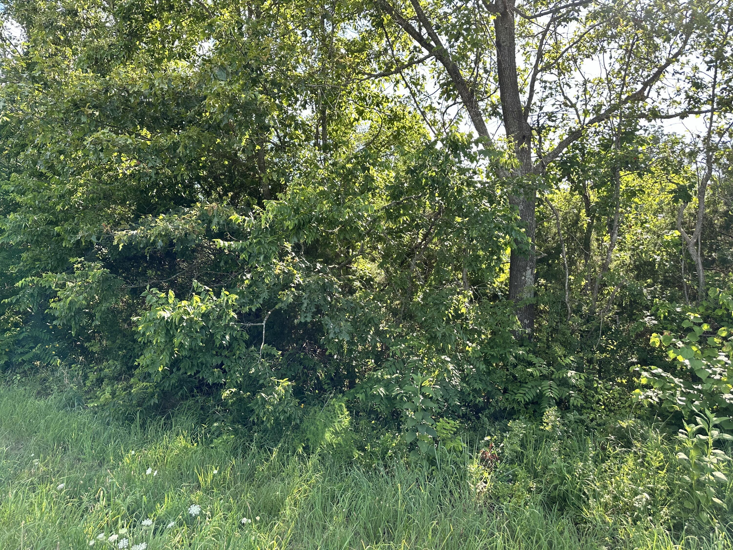 000 E Armstrong Drive Property Photo 2