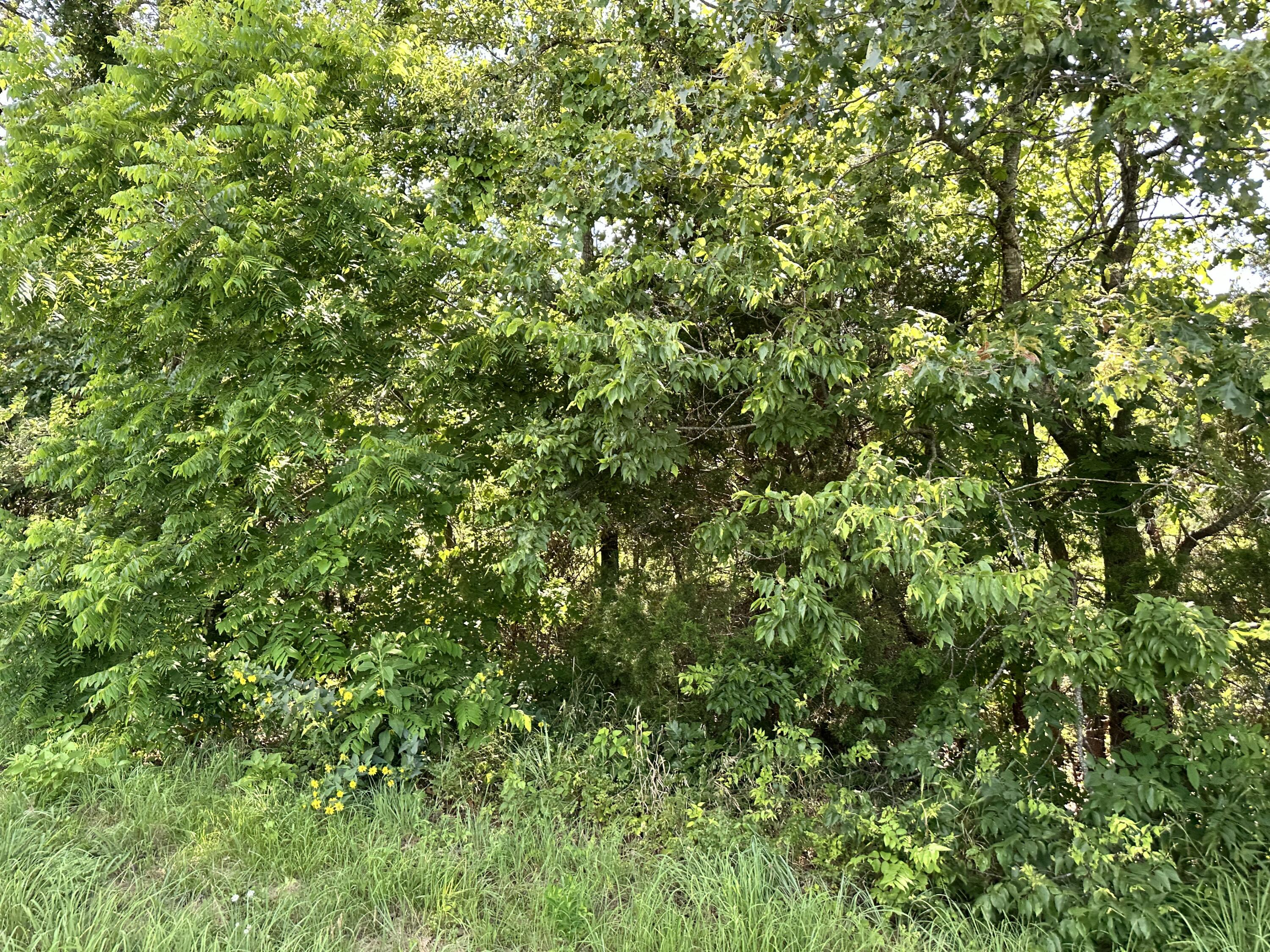 000 E Armstrong Drive Property Photo 3