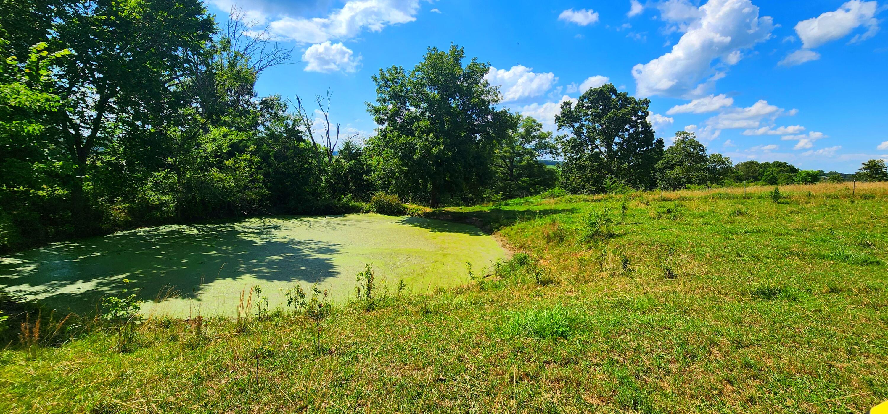 833 County Road 137 Property Photo 34