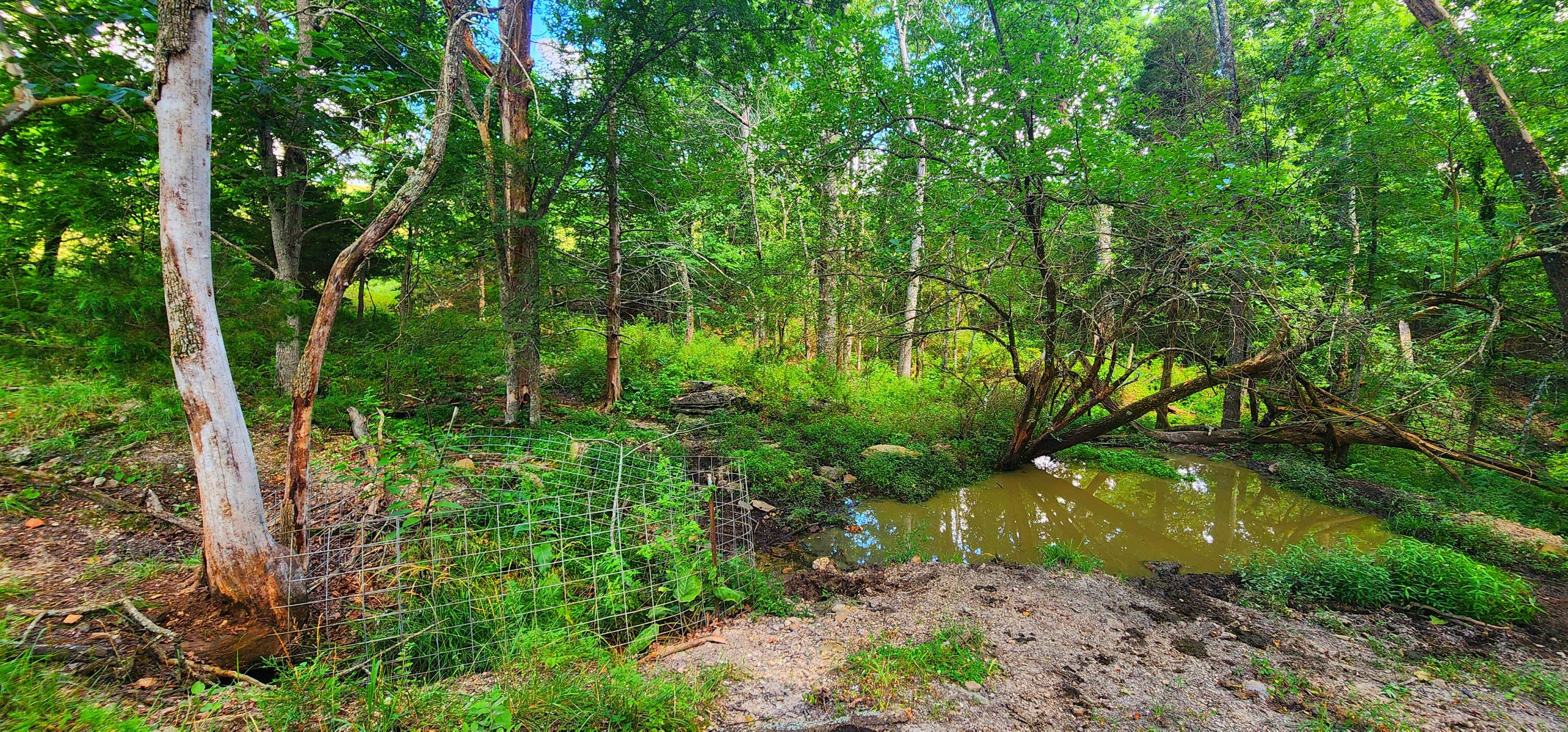 833 County Road 137 Property Photo 44