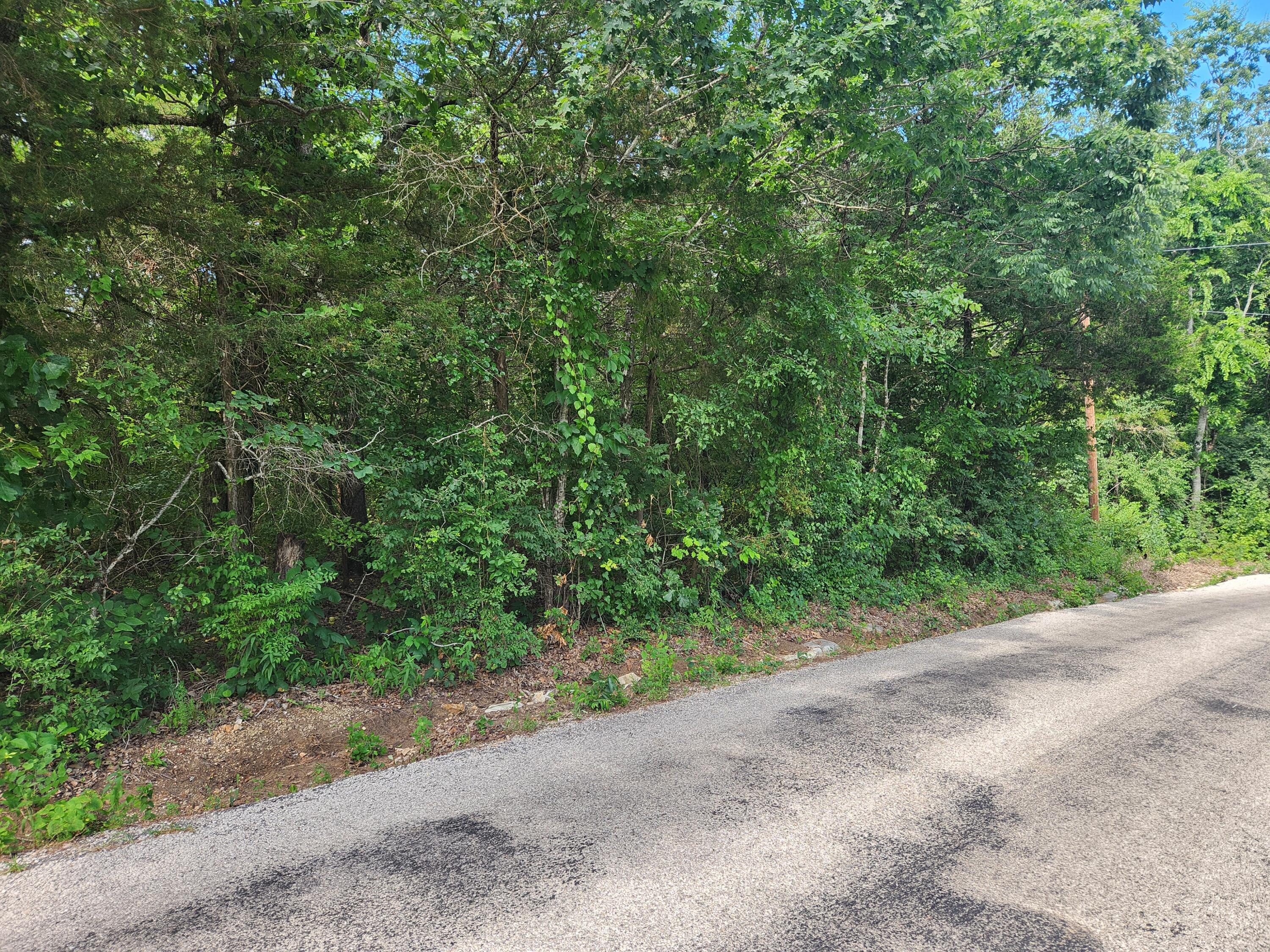 26680 Farm Road 1190 Property Photo 1