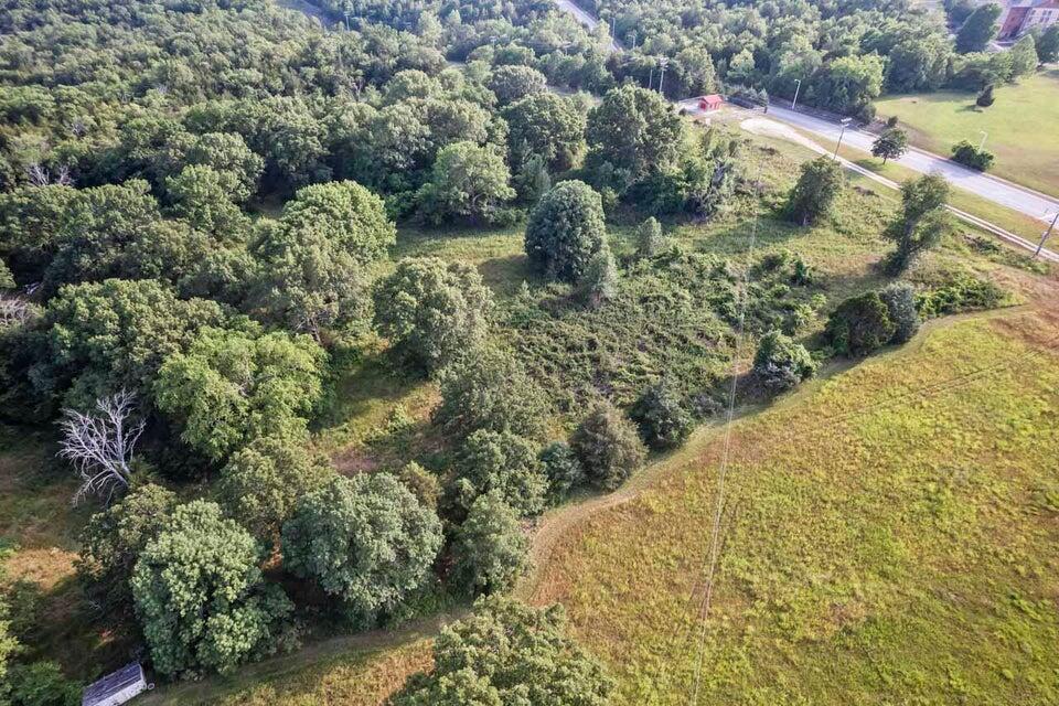 000 Branson Meadows Drive Property Photo 4