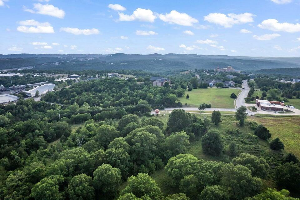 000 Branson Meadows Drive Property Photo 5