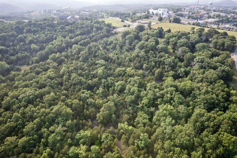 000 Branson Meadows Drive Property Photo 10