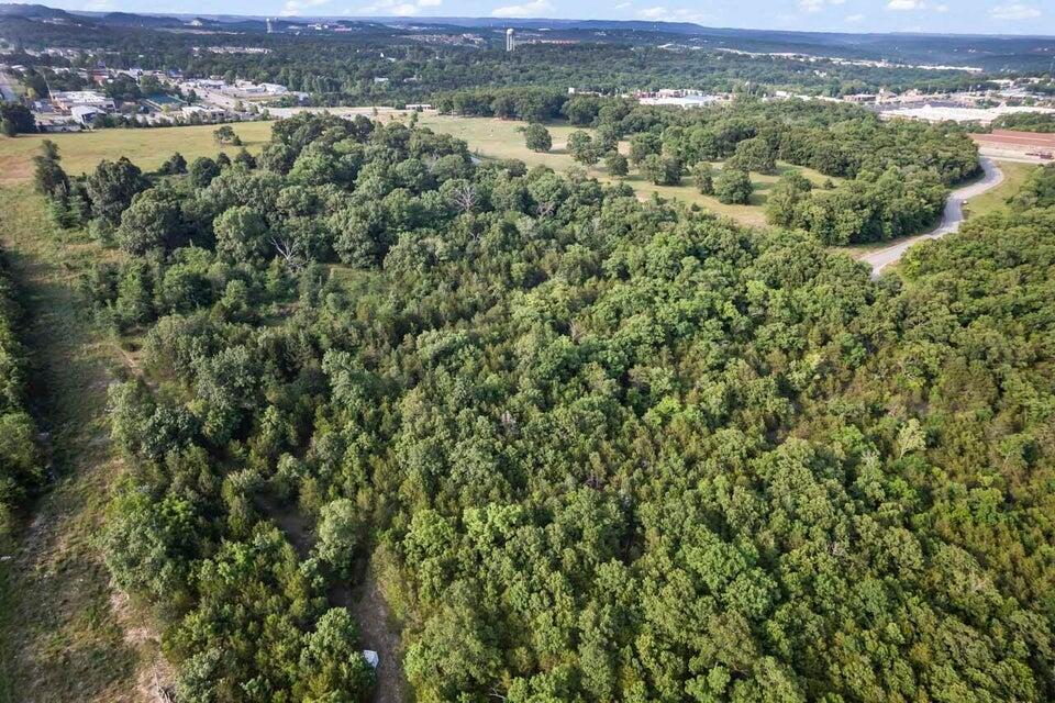 000 Branson Meadows Drive Property Photo 11