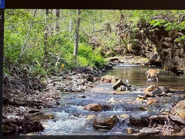 890 Bluebird Lane Property Photo 1