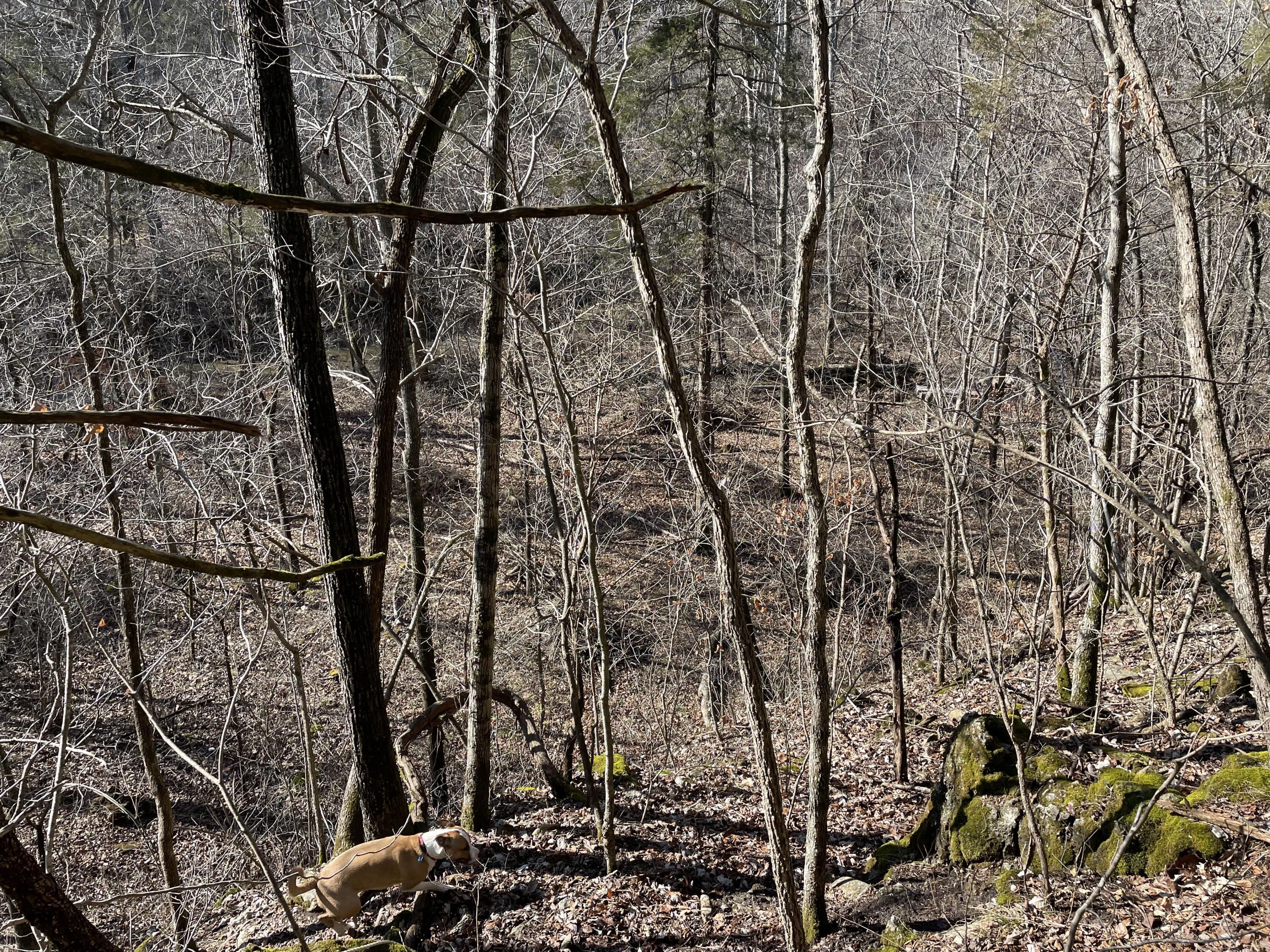 890 Bluebird Lane Property Photo 17