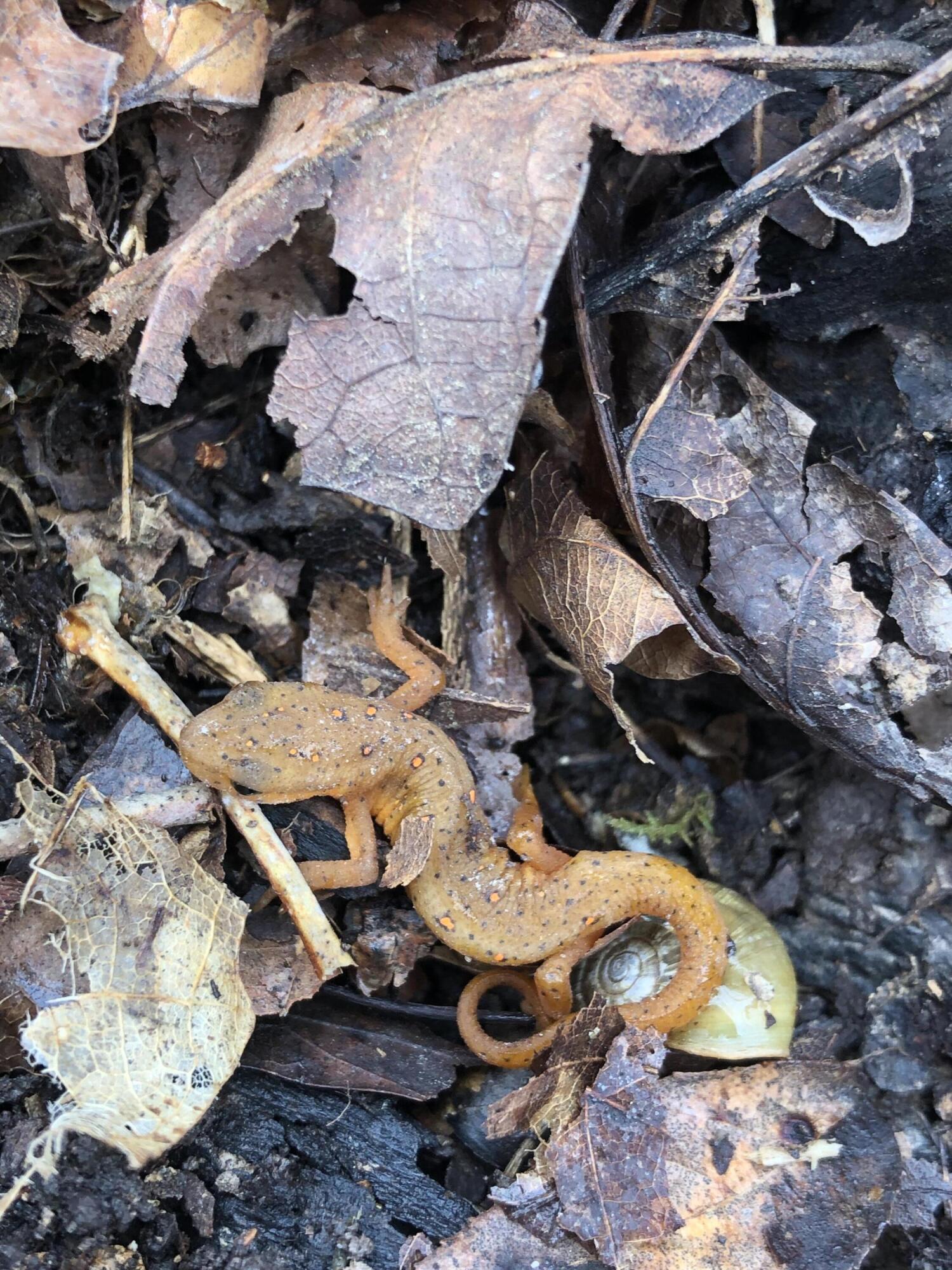 890 Bluebird Lane Property Photo 20