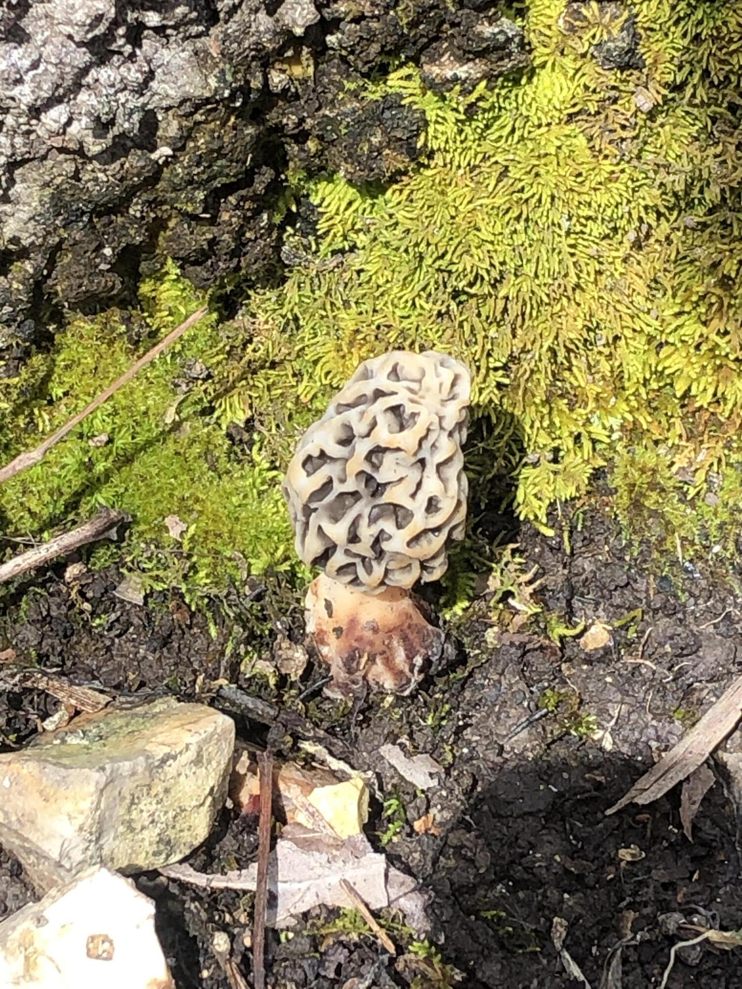 890 Bluebird Lane Property Photo 21