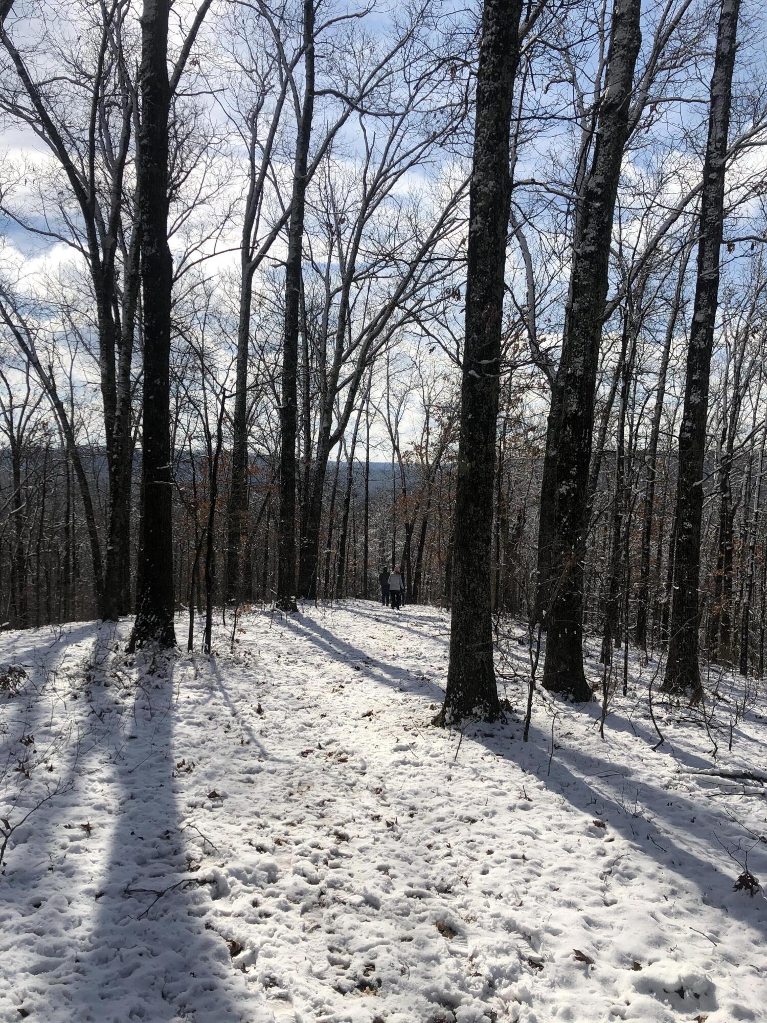 890 Bluebird Lane Property Photo 23