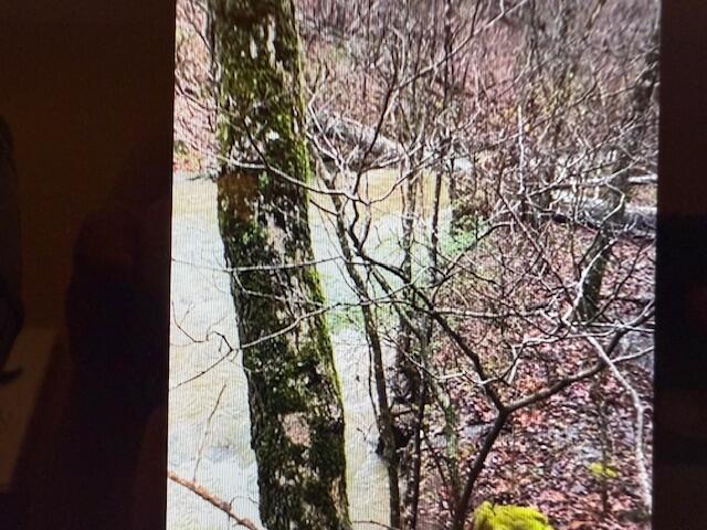 890 Bluebird Lane Property Photo 24