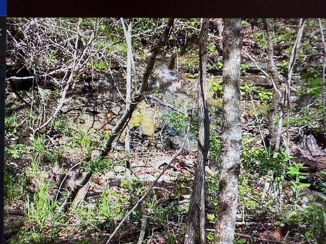 890 Bluebird Lane Property Photo 26