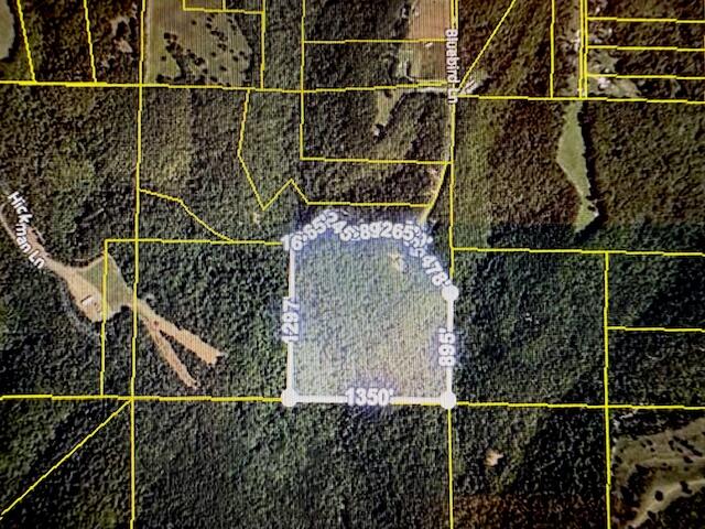 890 Bluebird Lane Property Photo 33