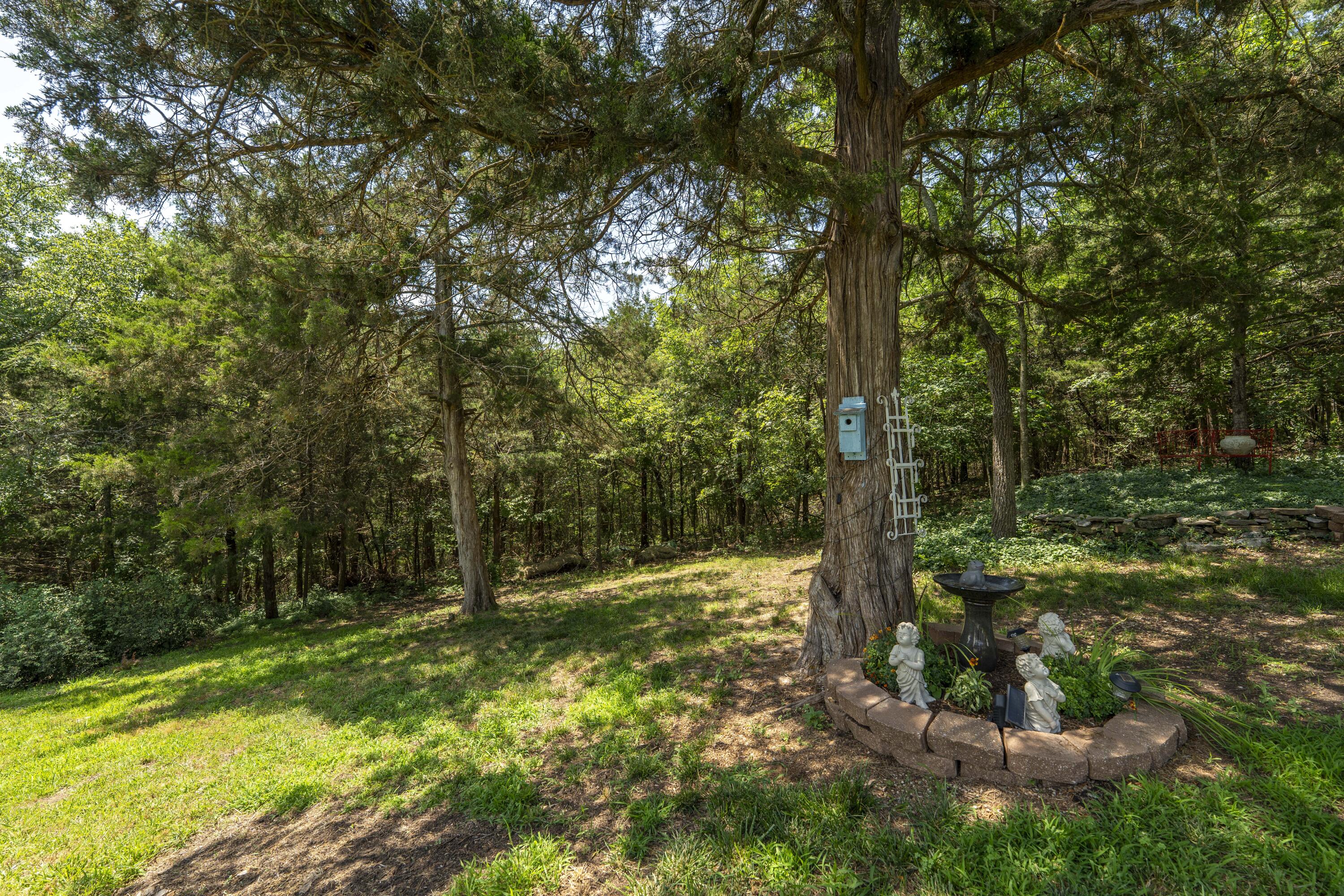 29 Trail Ridge Drive Property Photo 44