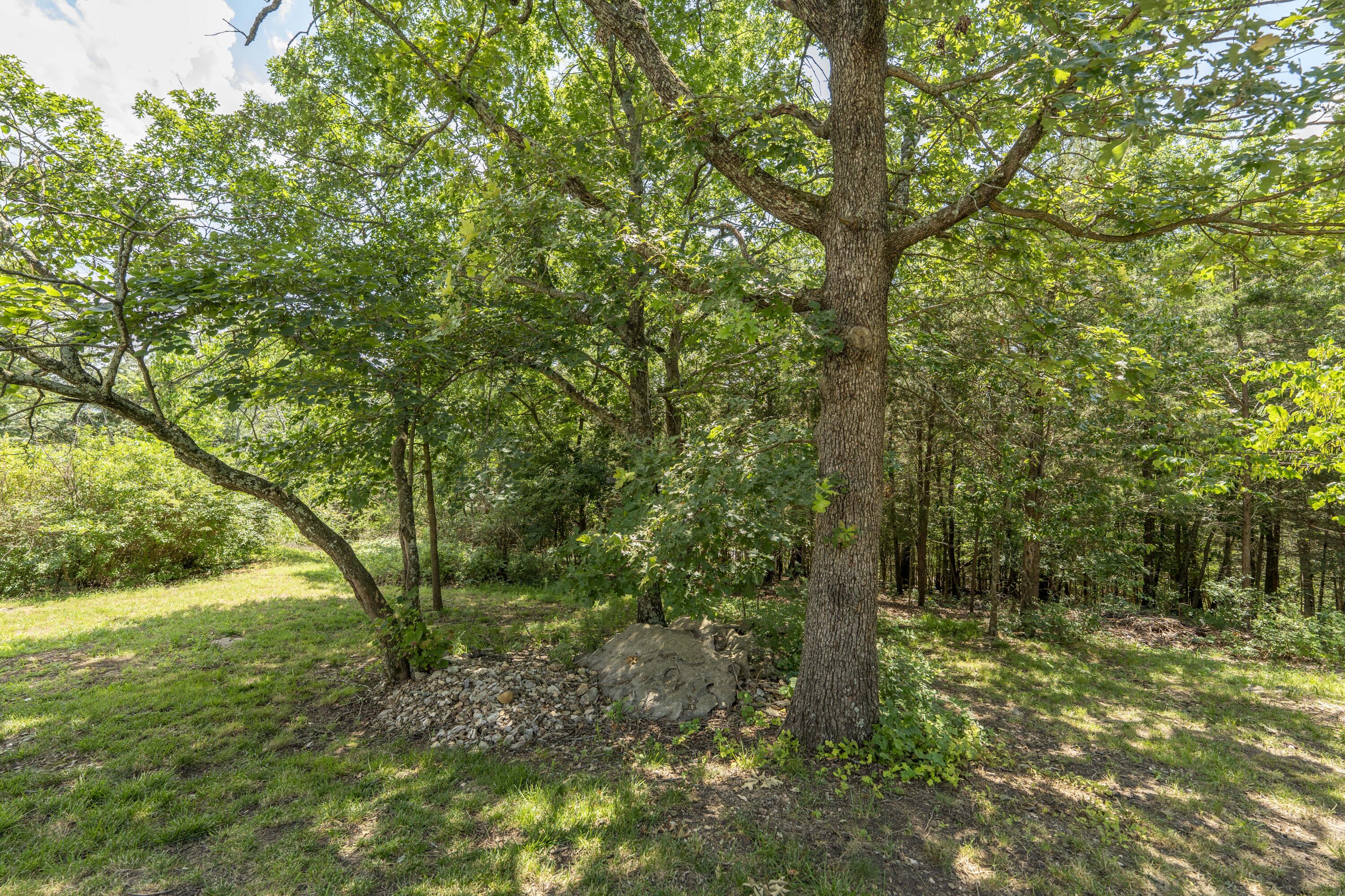 29 Trail Ridge Drive Property Photo 50