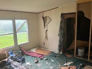 5854 County Rd 263 Property Photo 14
