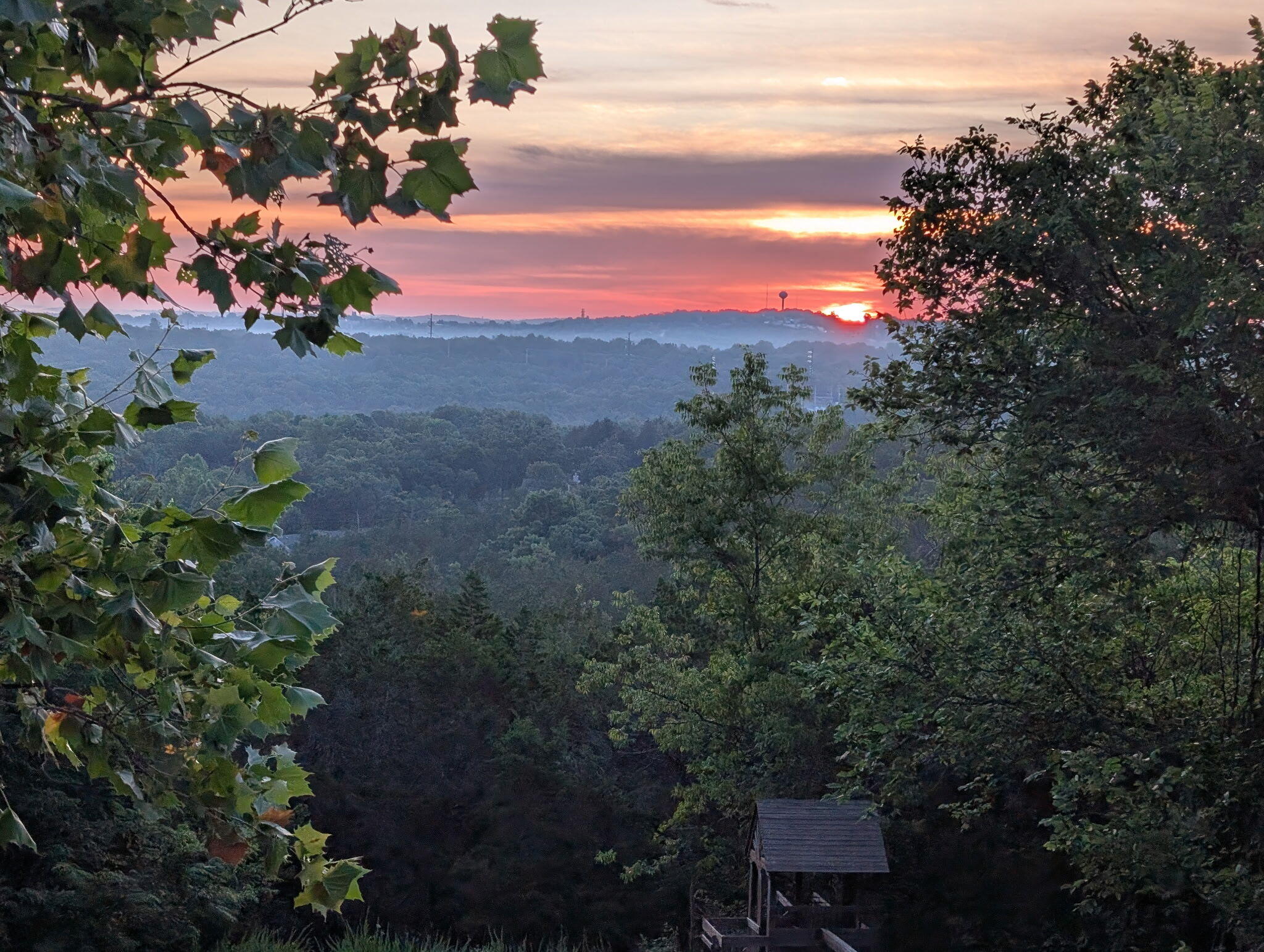 1009 Iowa Colony Road Property Photo 4