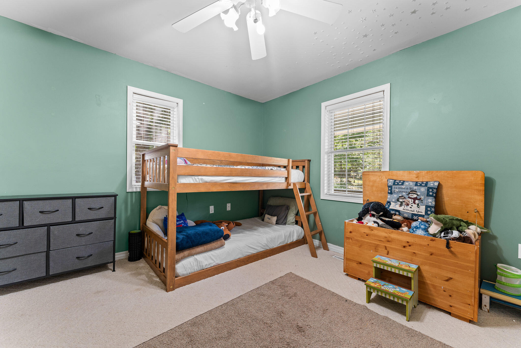 1009 Iowa Colony Road Property Photo 14