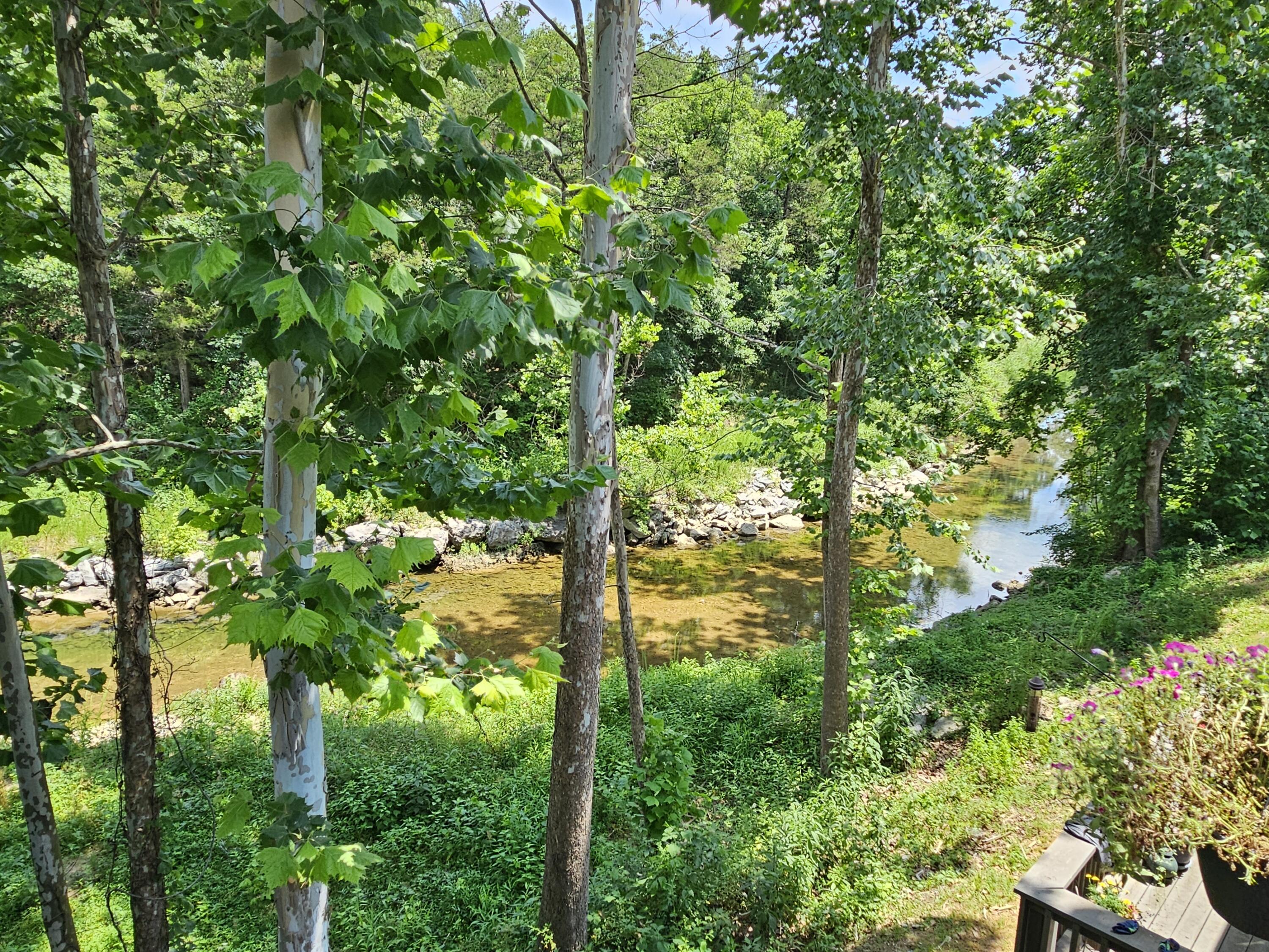 7832 Cozy Cove Road Property Photo 4