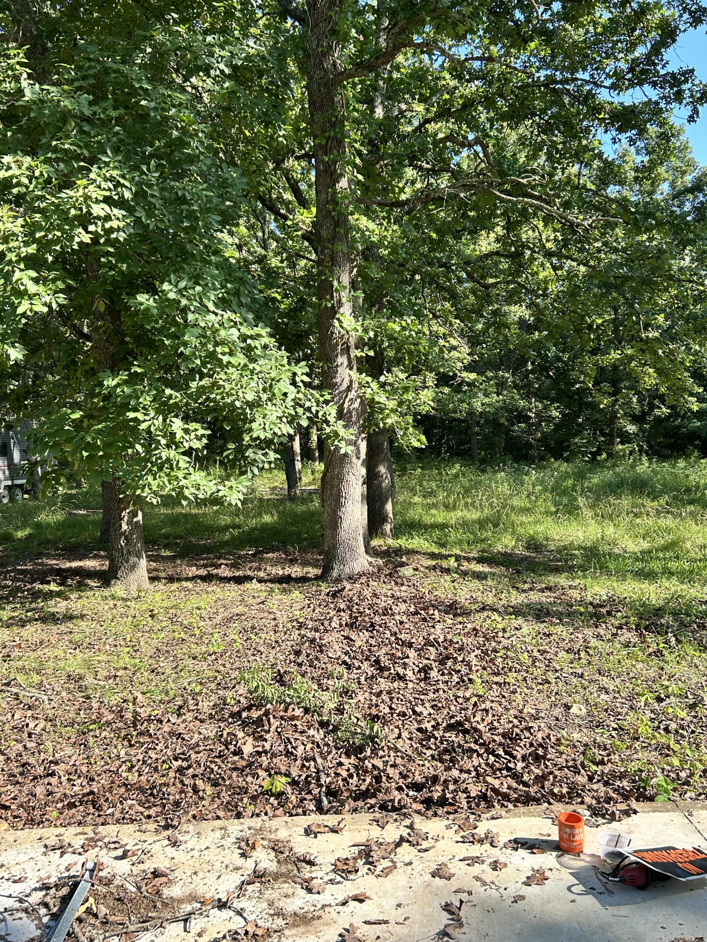 27870 Co Rd 316 Property Photo 1