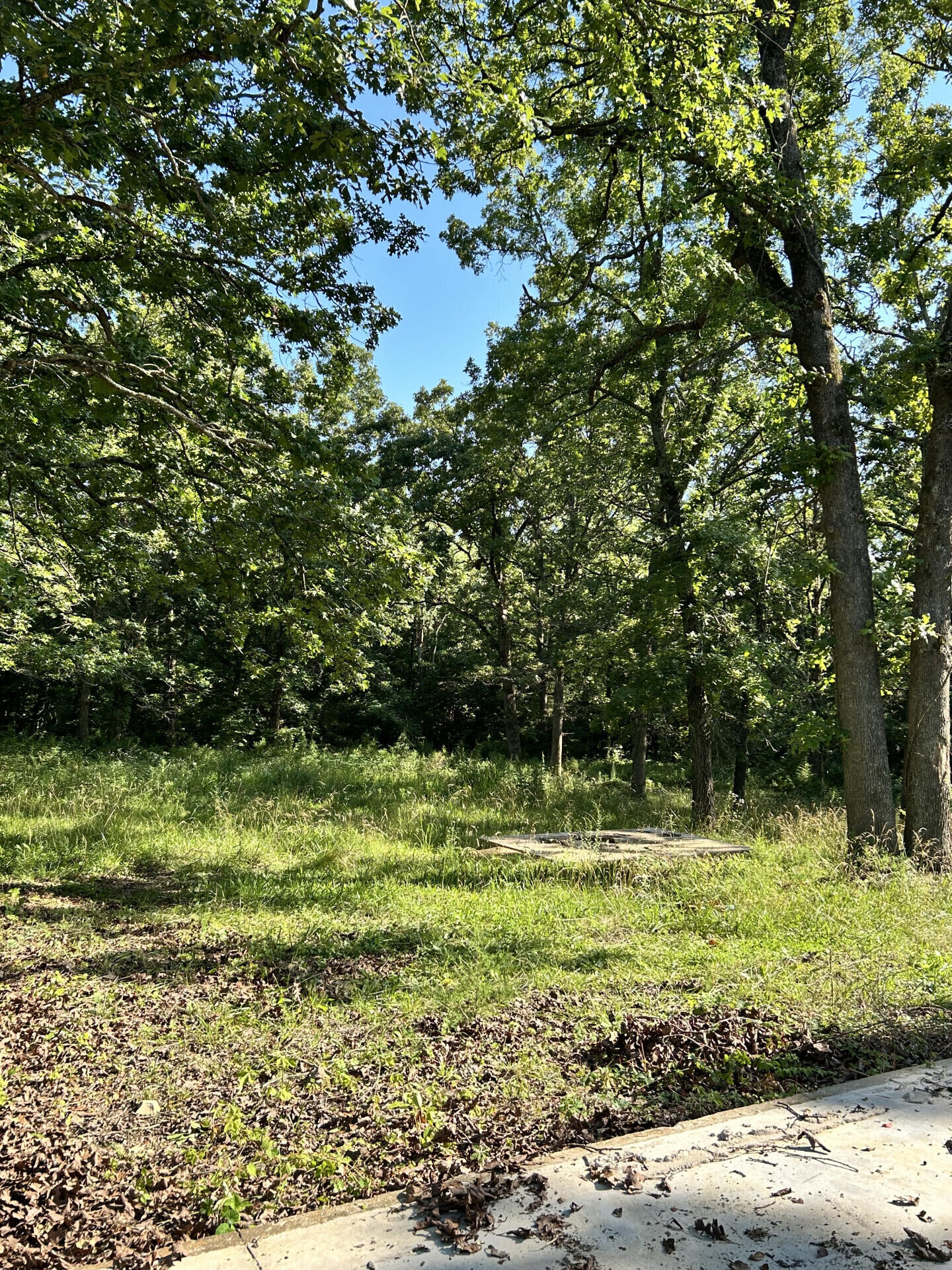 27870 Co Rd 316 Property Photo 2