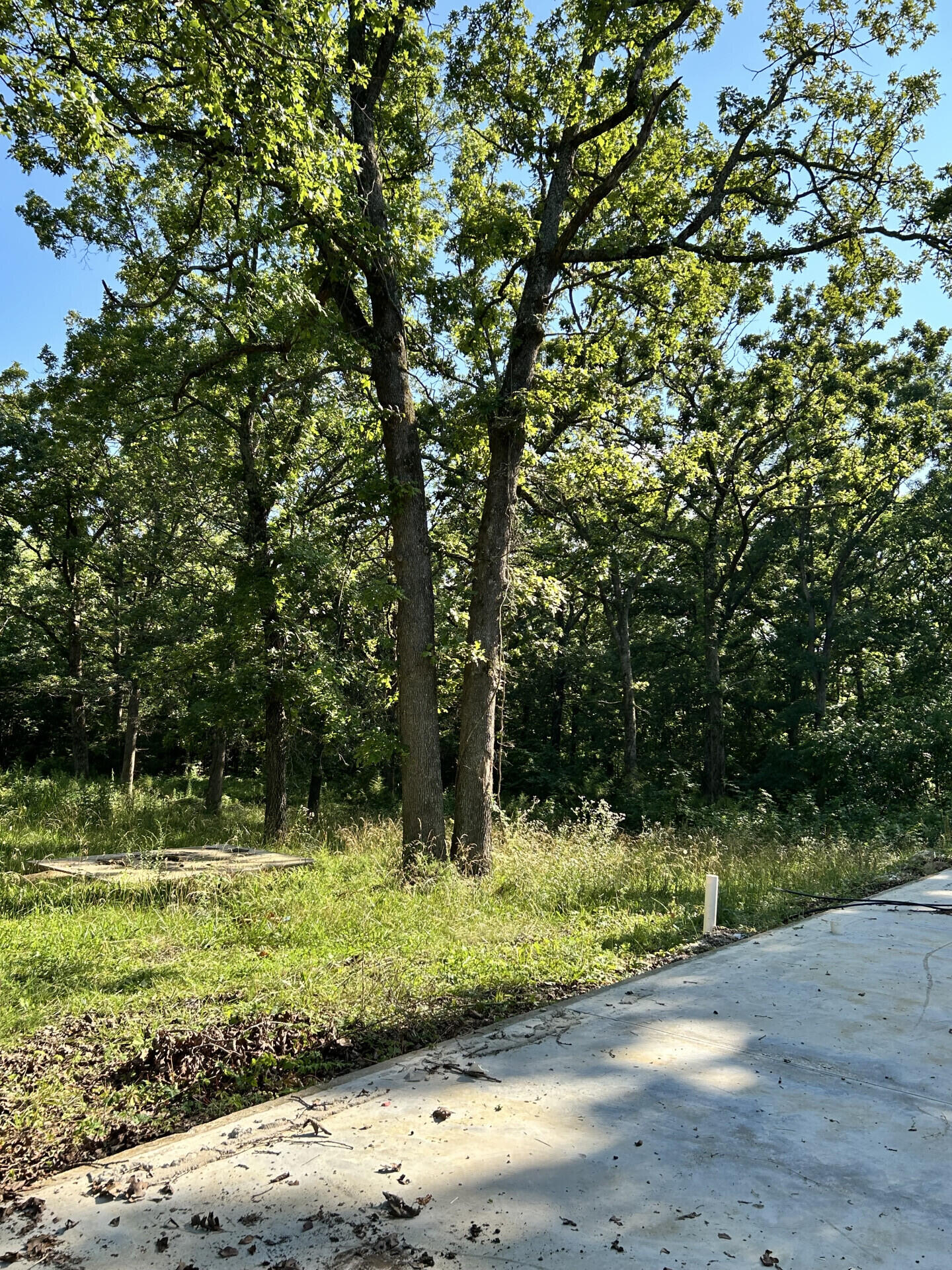 27870 Co Rd 316 Property Photo 3