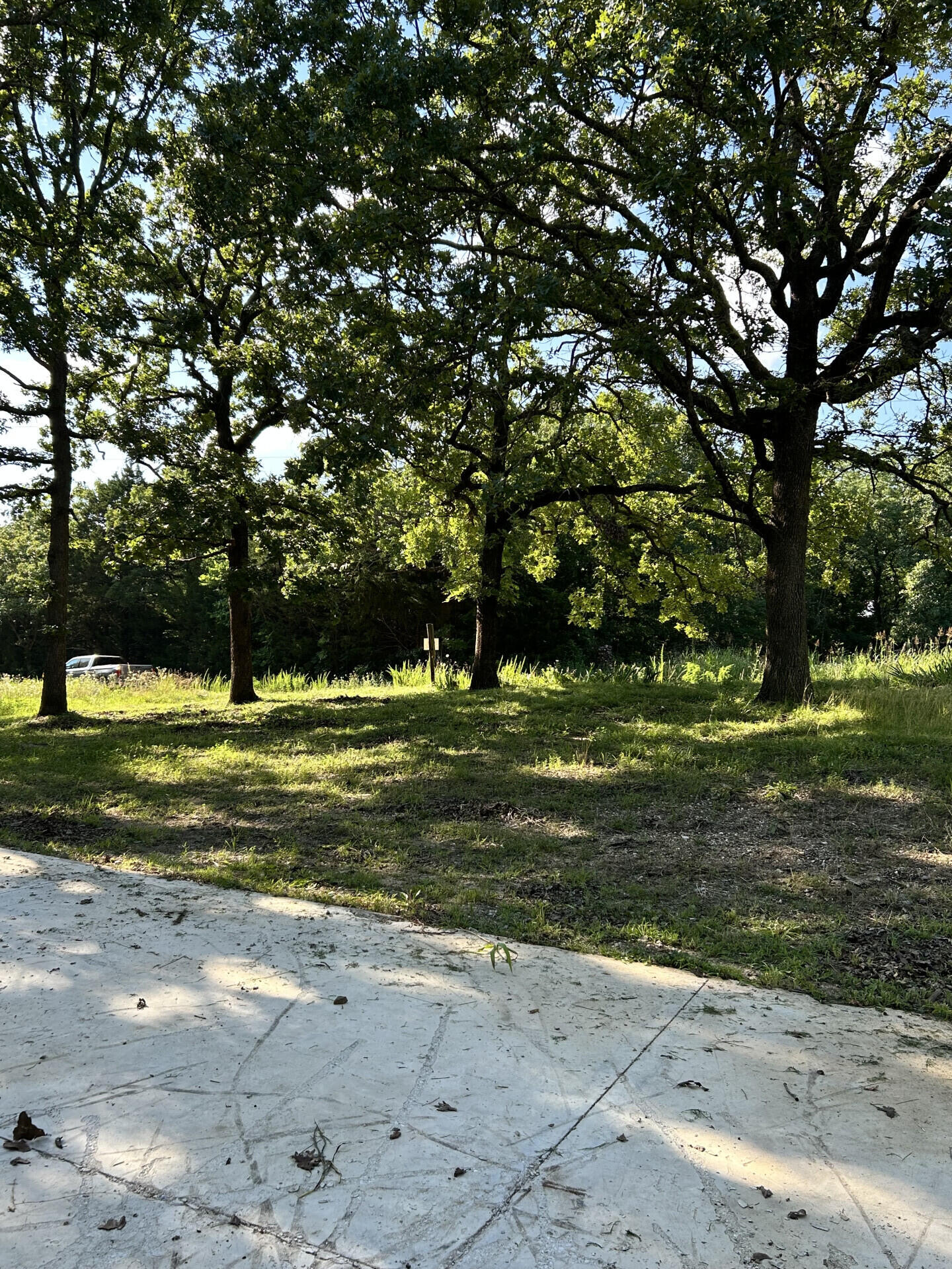 27870 Co Rd 316 Property Photo 4