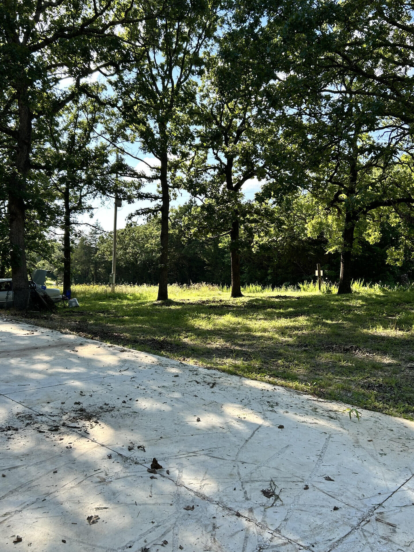 27870 Co Rd 316 Property Photo 5