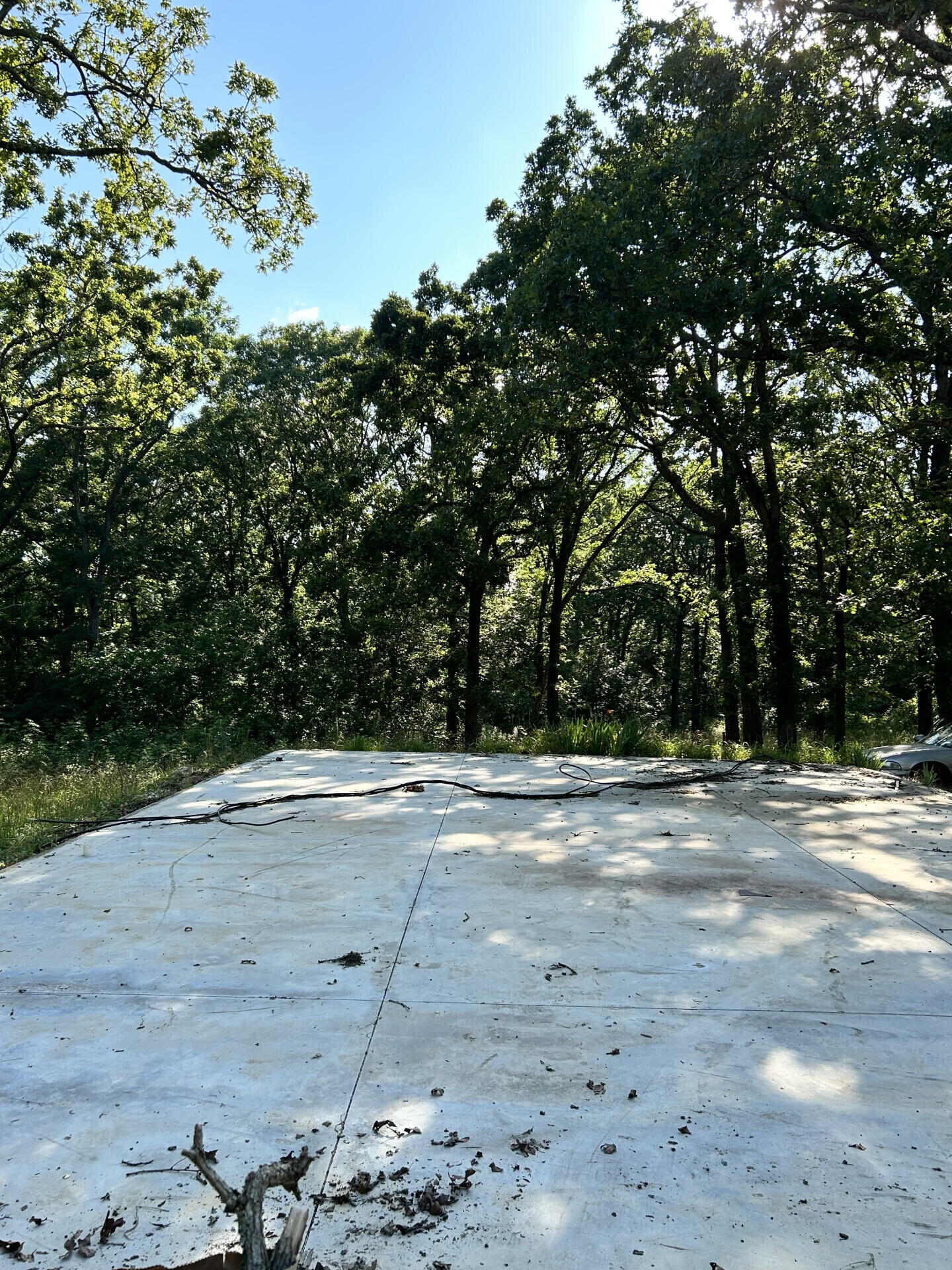 27870 Co Rd 316 Property Photo 6