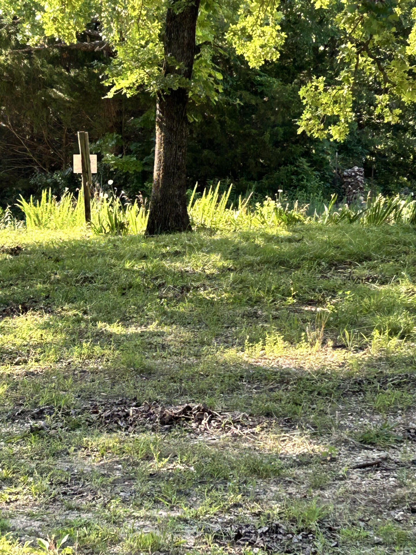 27870 Co Rd 316 Property Photo 7