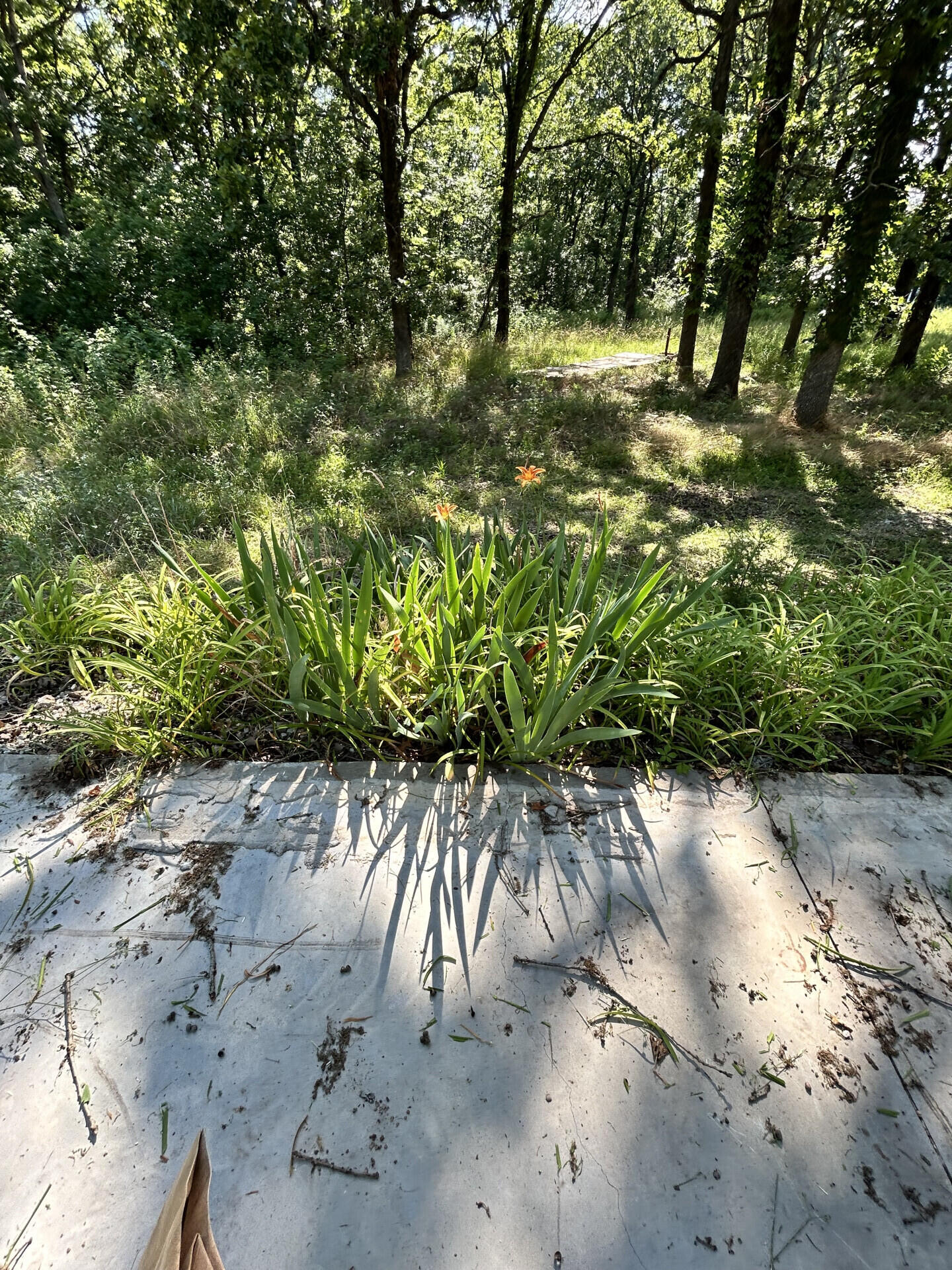 27870 Co Rd 316 Property Photo 8