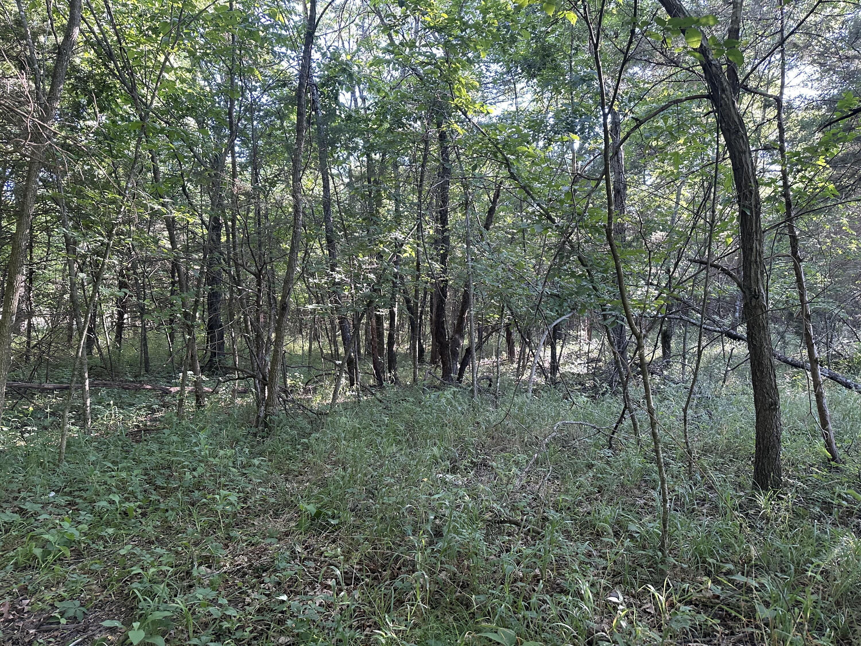 1950 North Crossway Road Property Photo 50