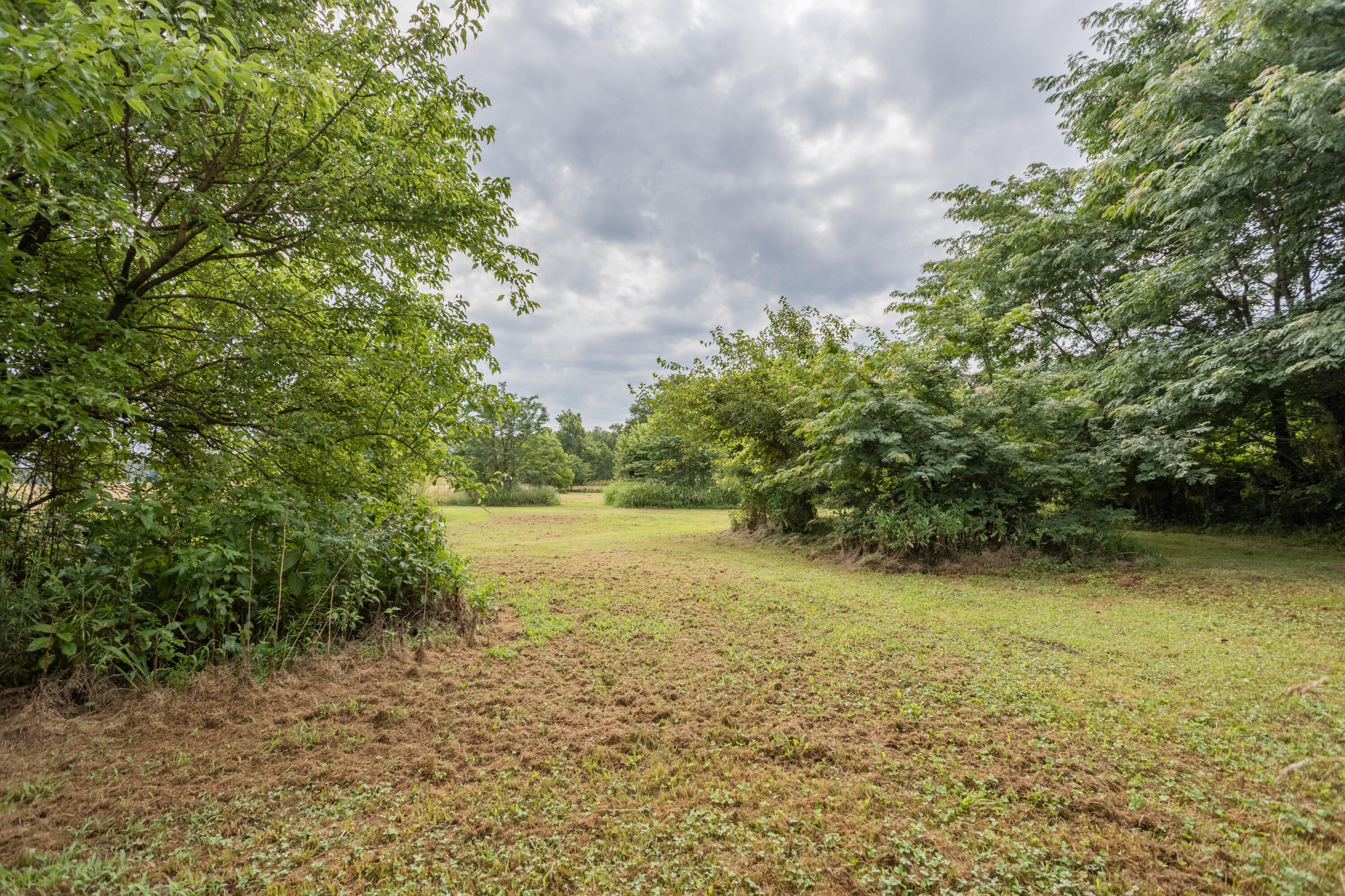 3736 Highway 83 Property Photo 5
