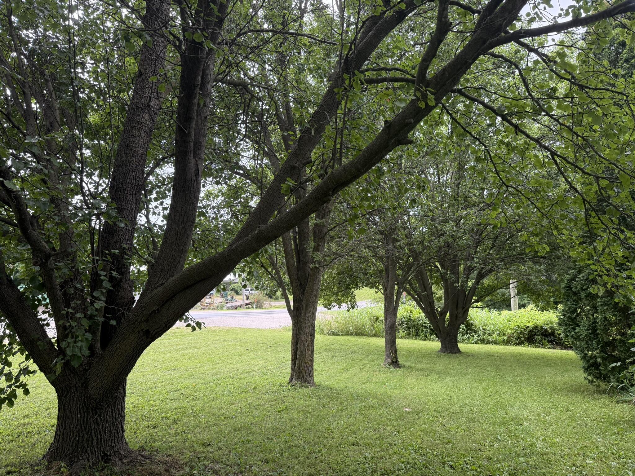 2105 Highway M Property Photo 47