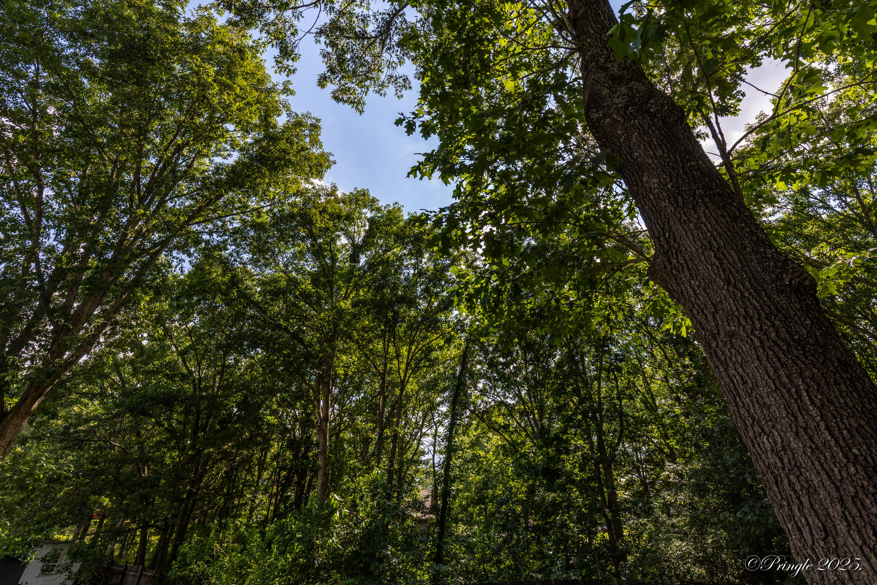 916 Kansas Street Property Photo 33