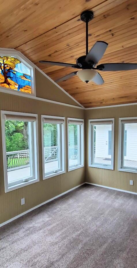 1536 Little Aunts Creek Road Property Photo 19